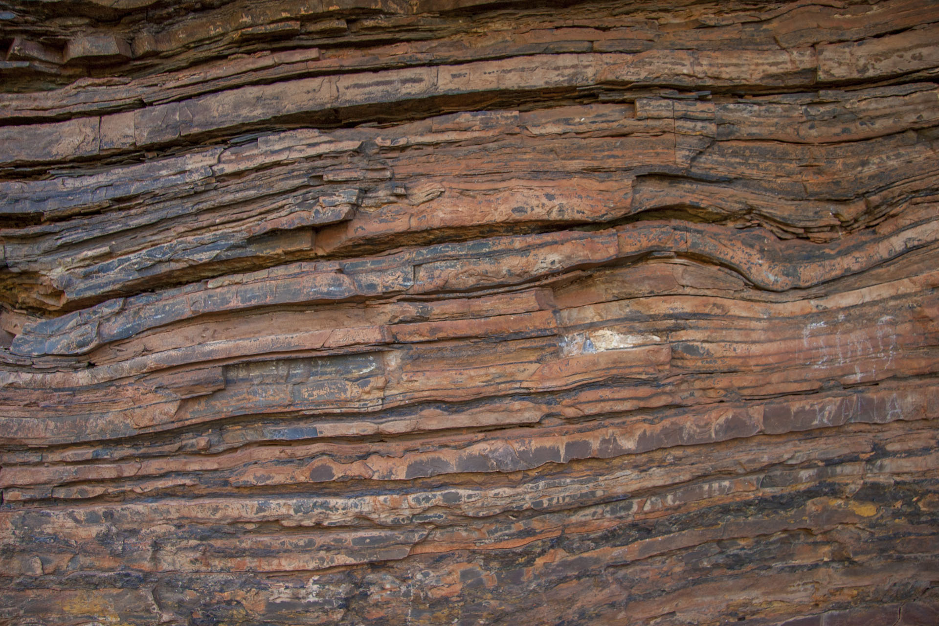 The layered rocks.