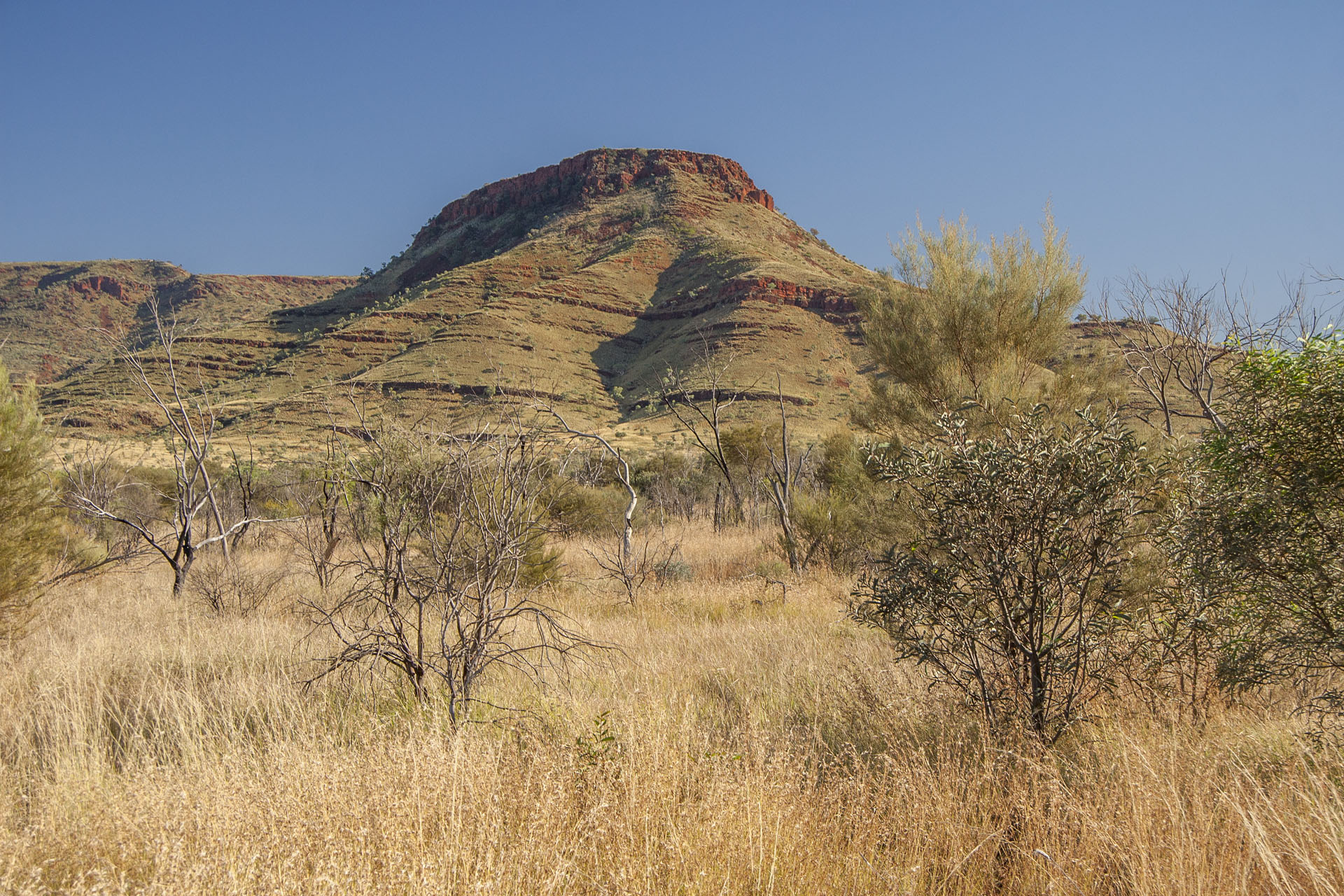 The roadside scenery.