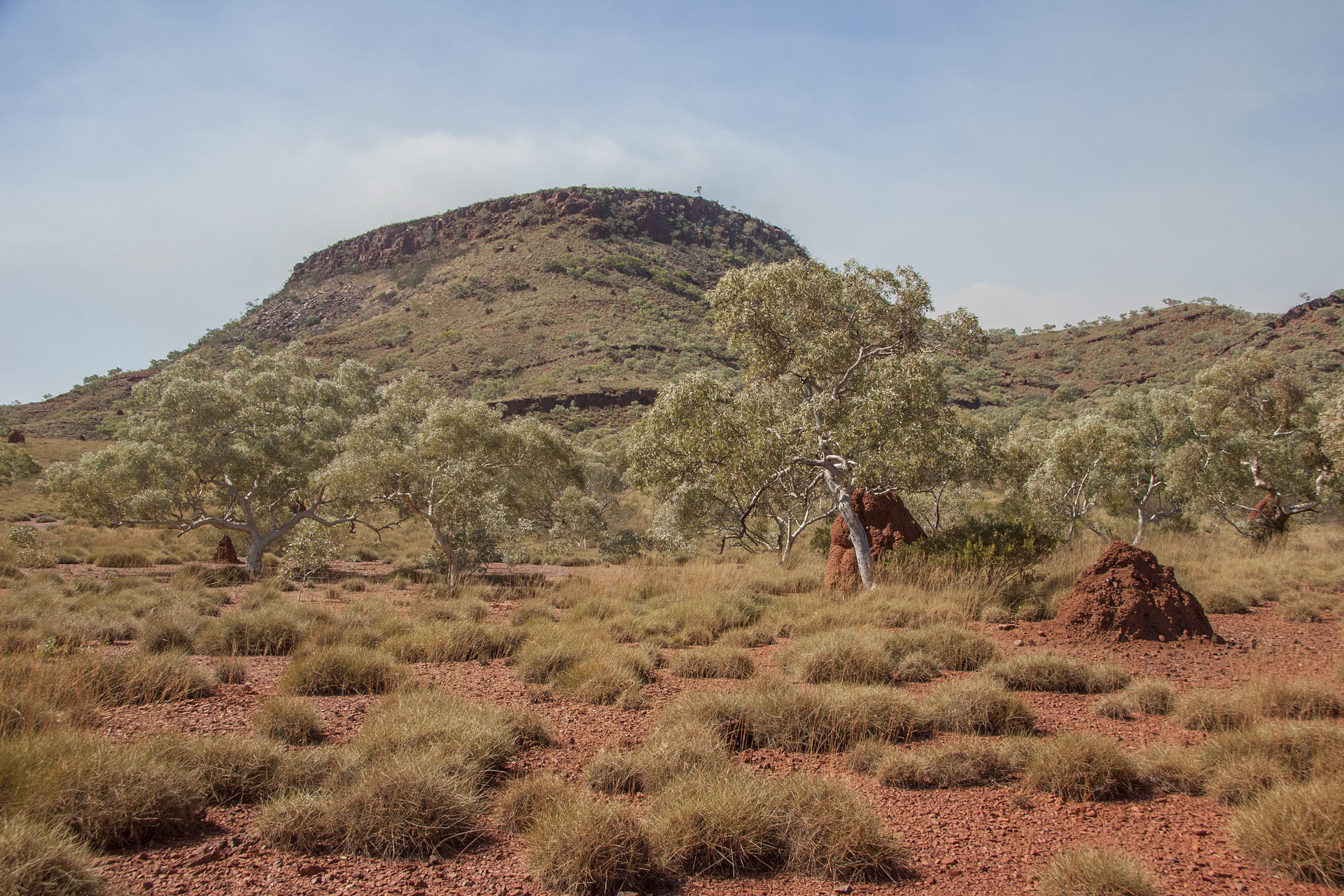 The Pilbara surrounds me.