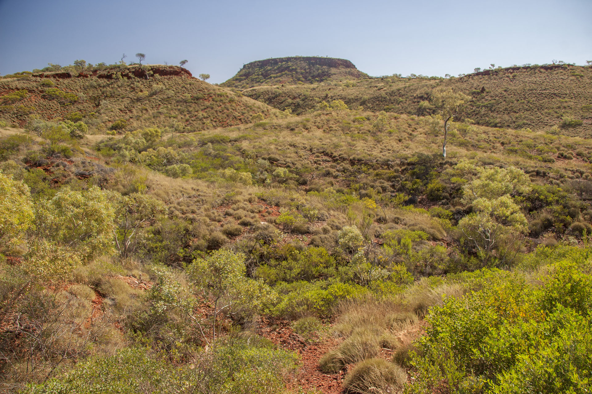 Next to the gorge itself.