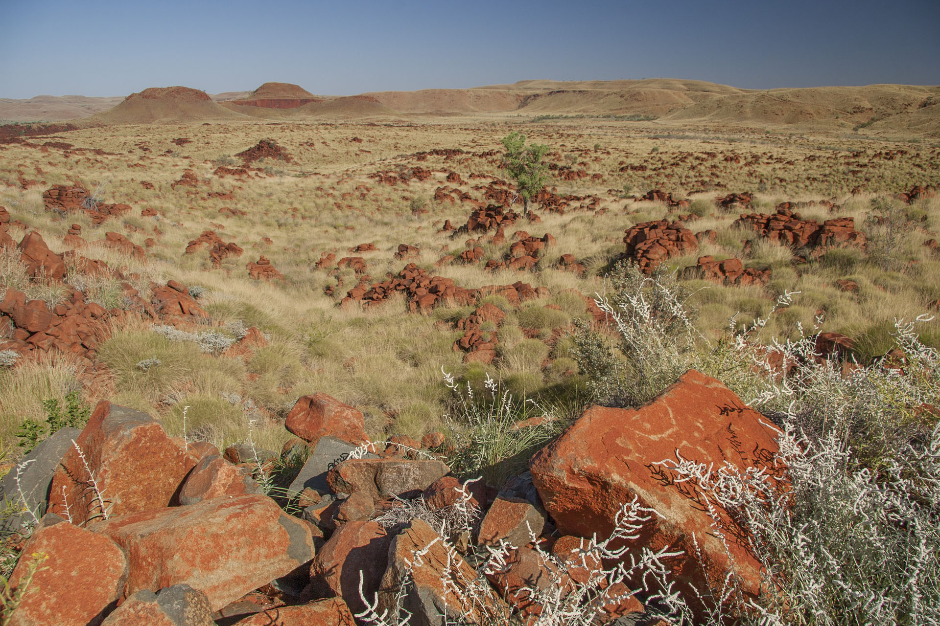 Rocky wasteland.