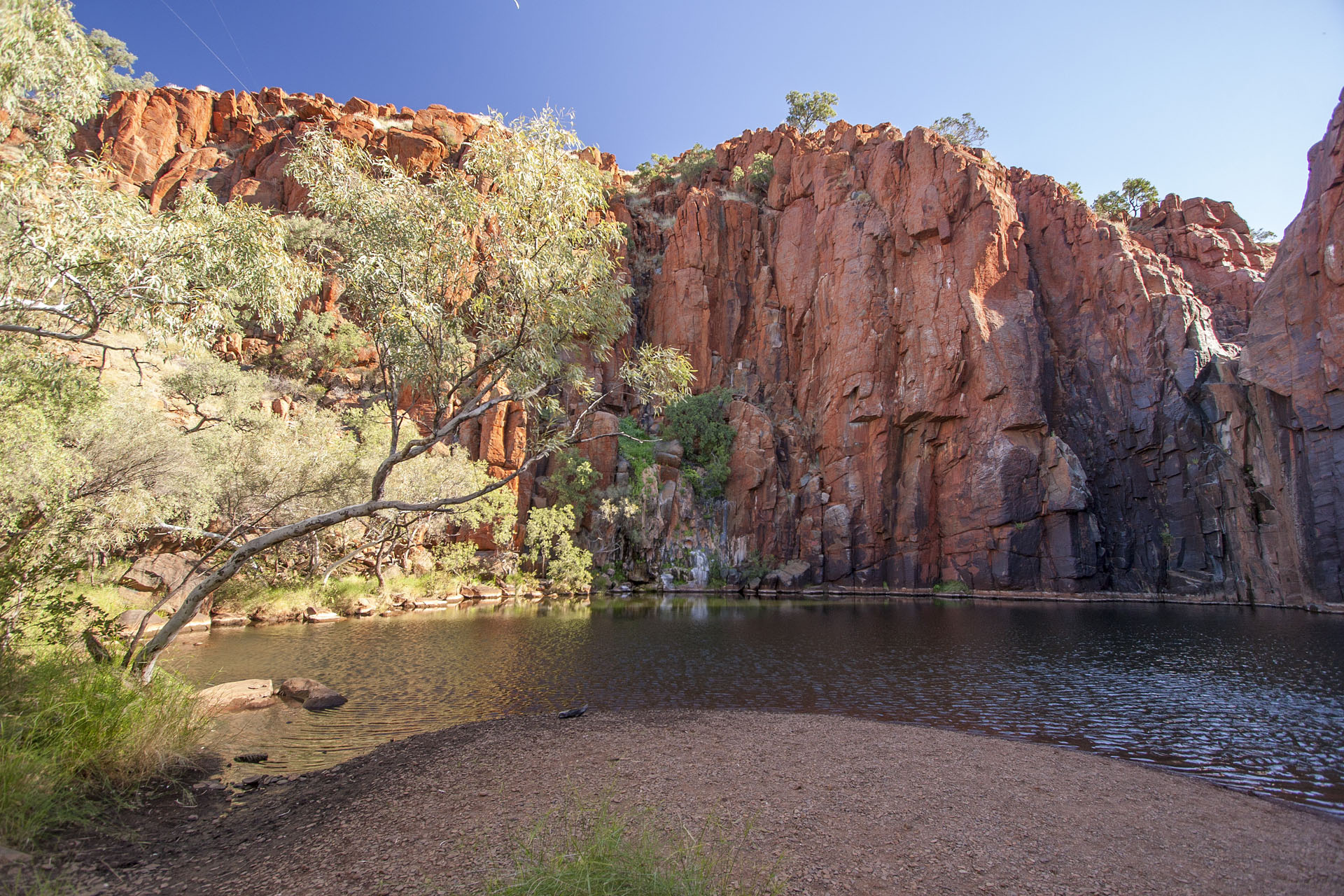 The Python Pool.