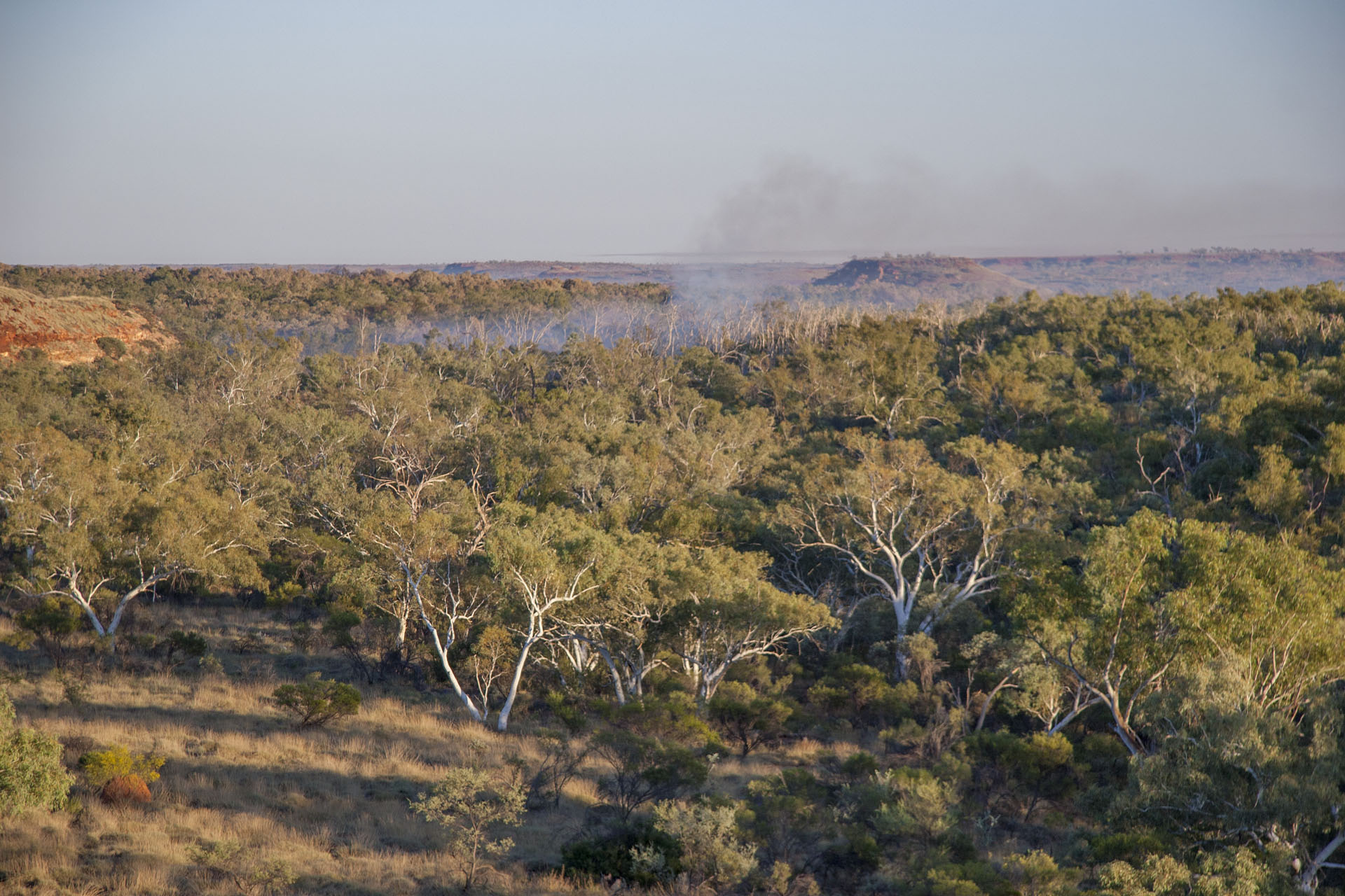 A bushfire somewhere.