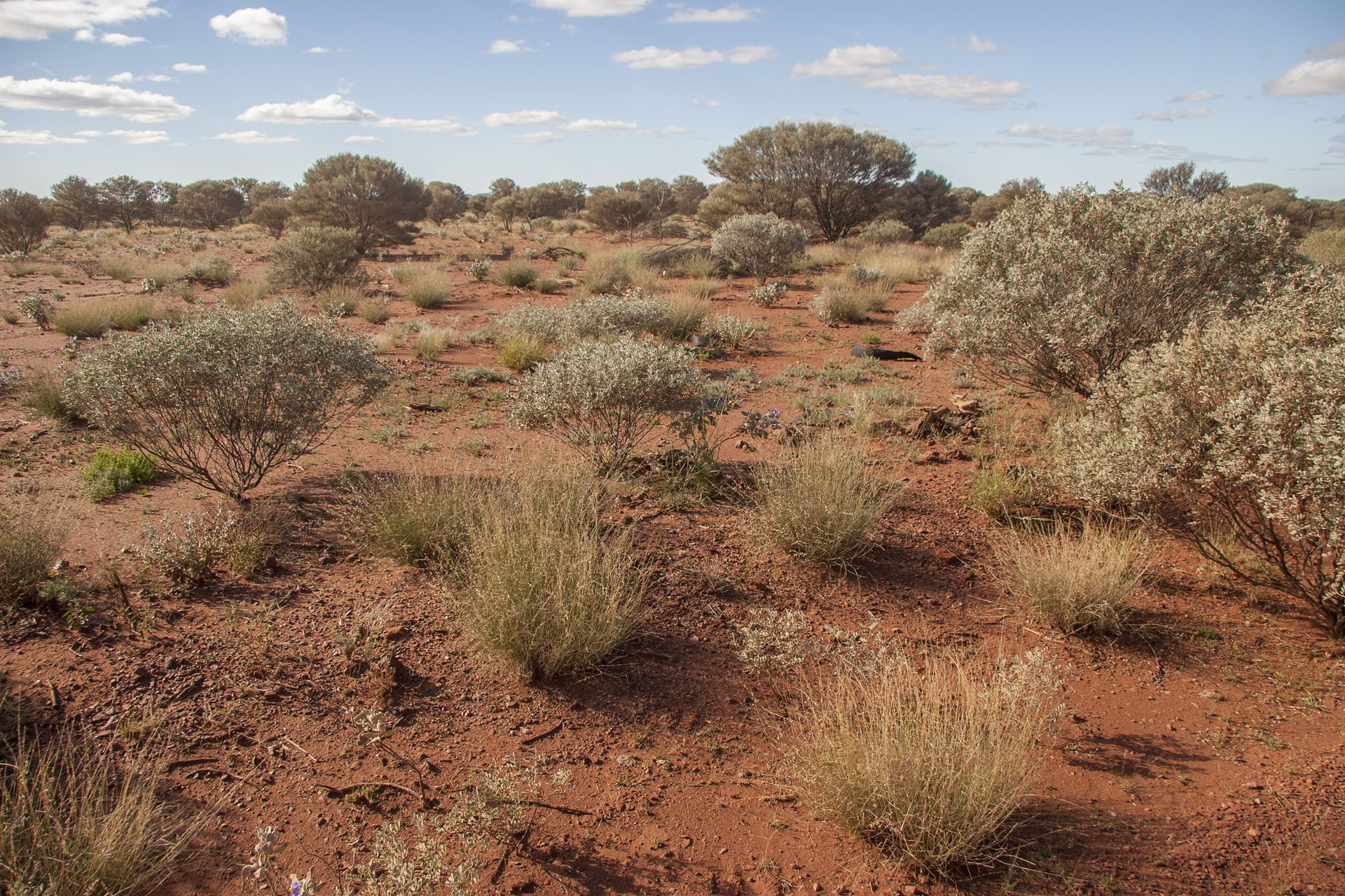 On my way to Wiluna.