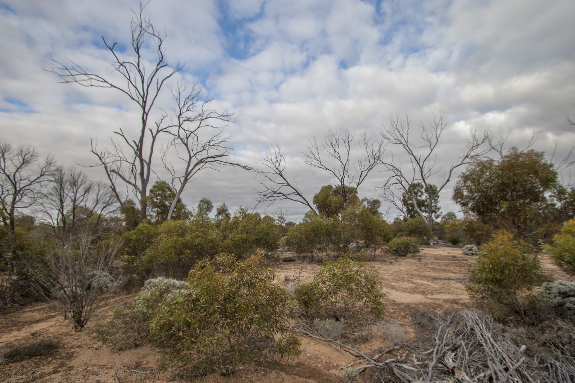 Red dirt switches to ochre completely.