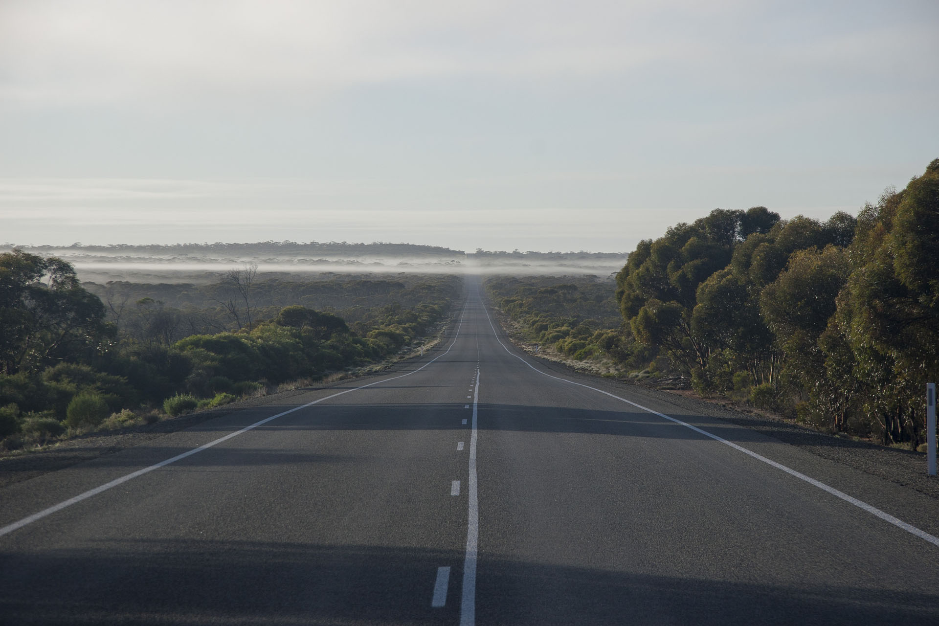 The highway fog that is still yet ahead.