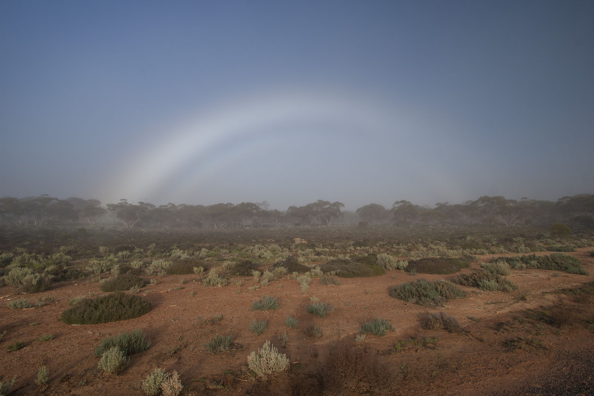 A foggy rainbow.