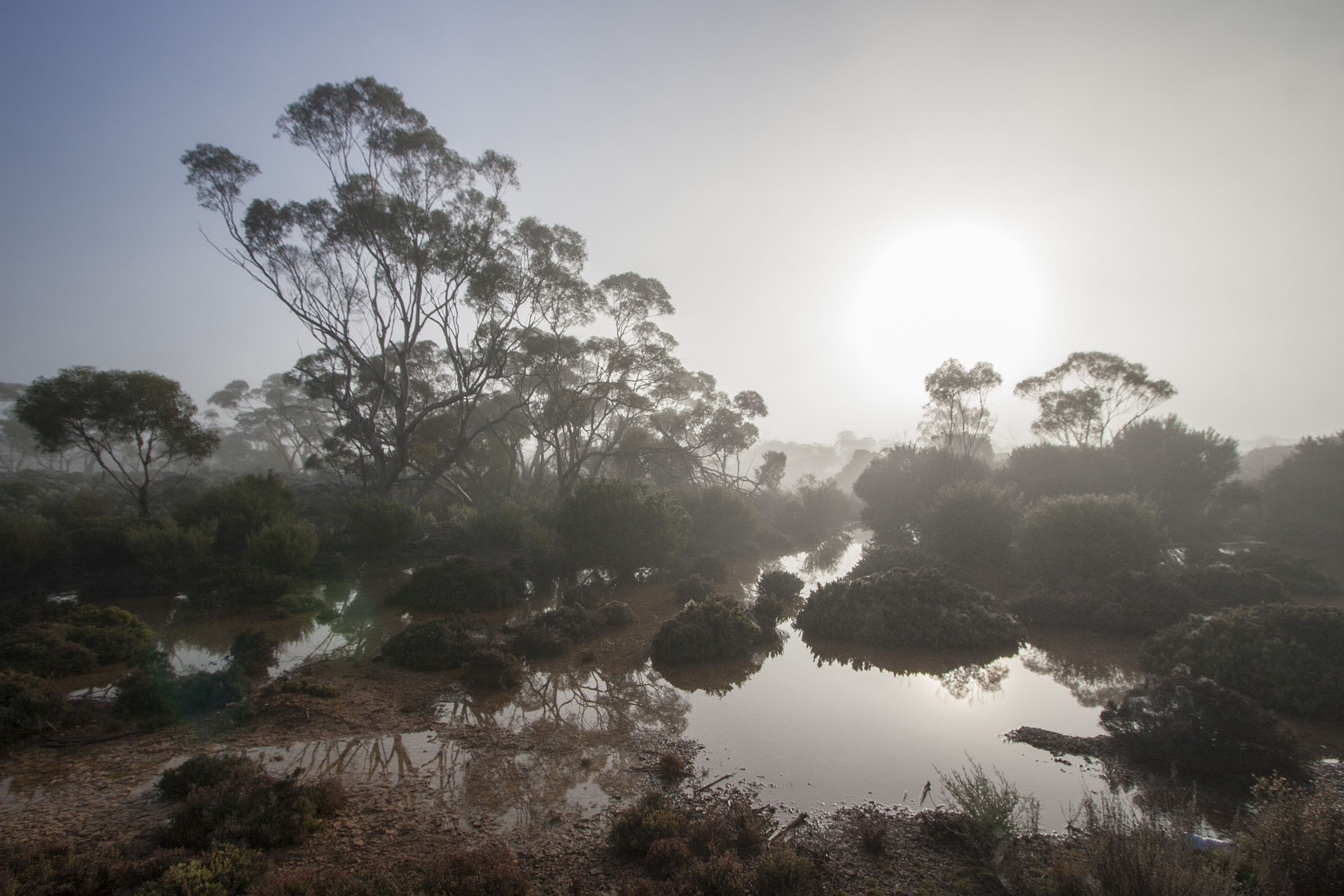 Fog and puddles.