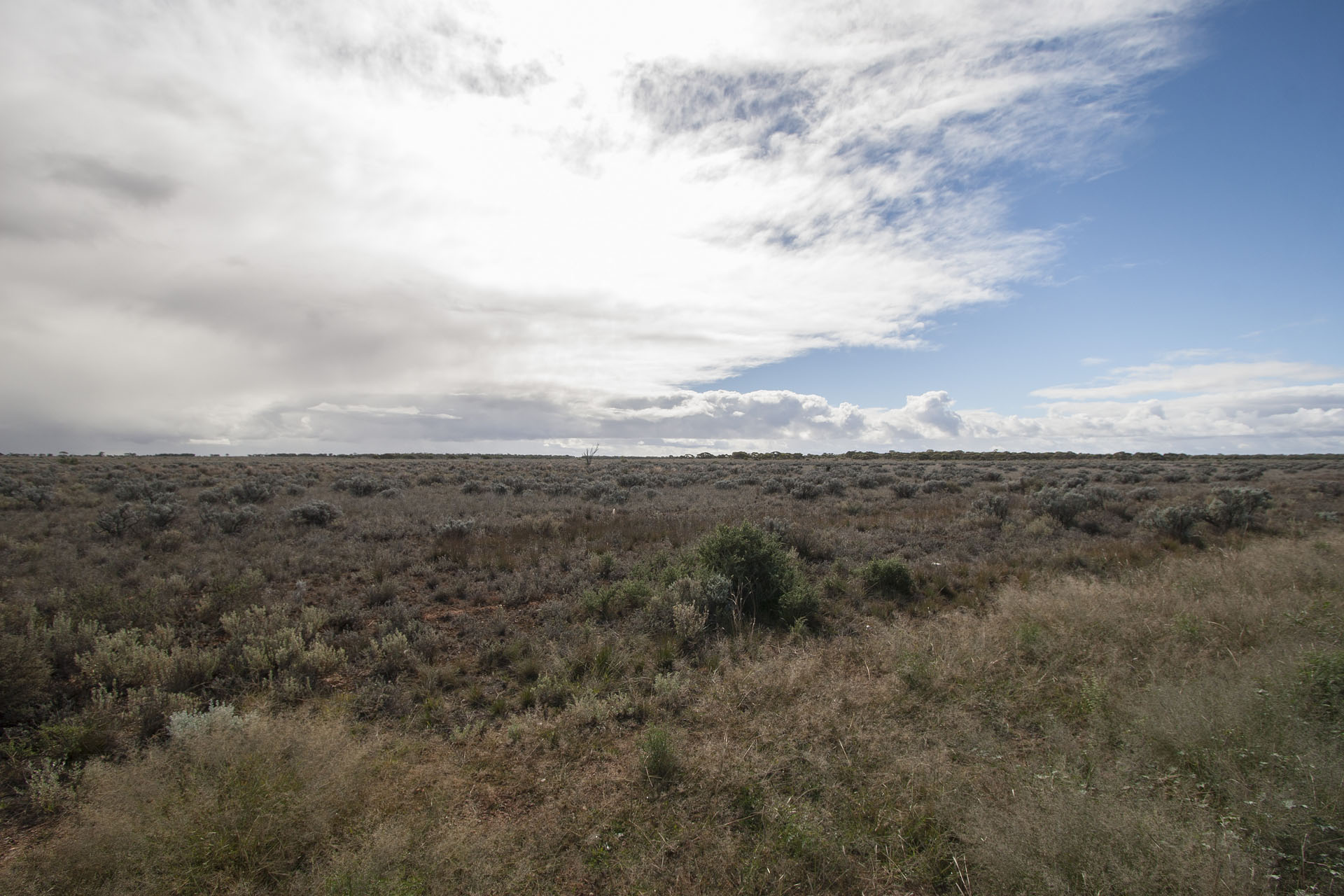 The Nullarbor.