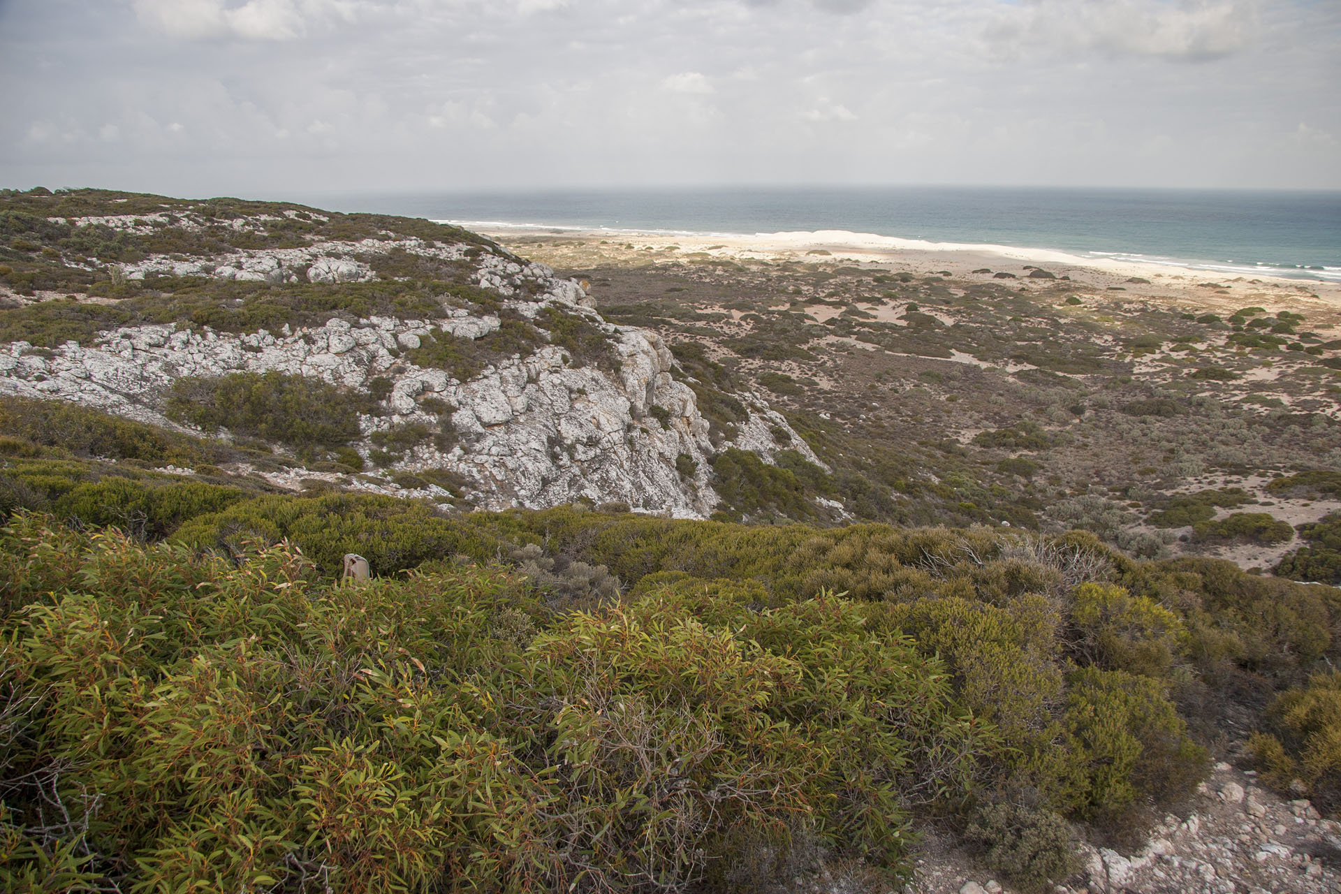 The coastline looks chilly…