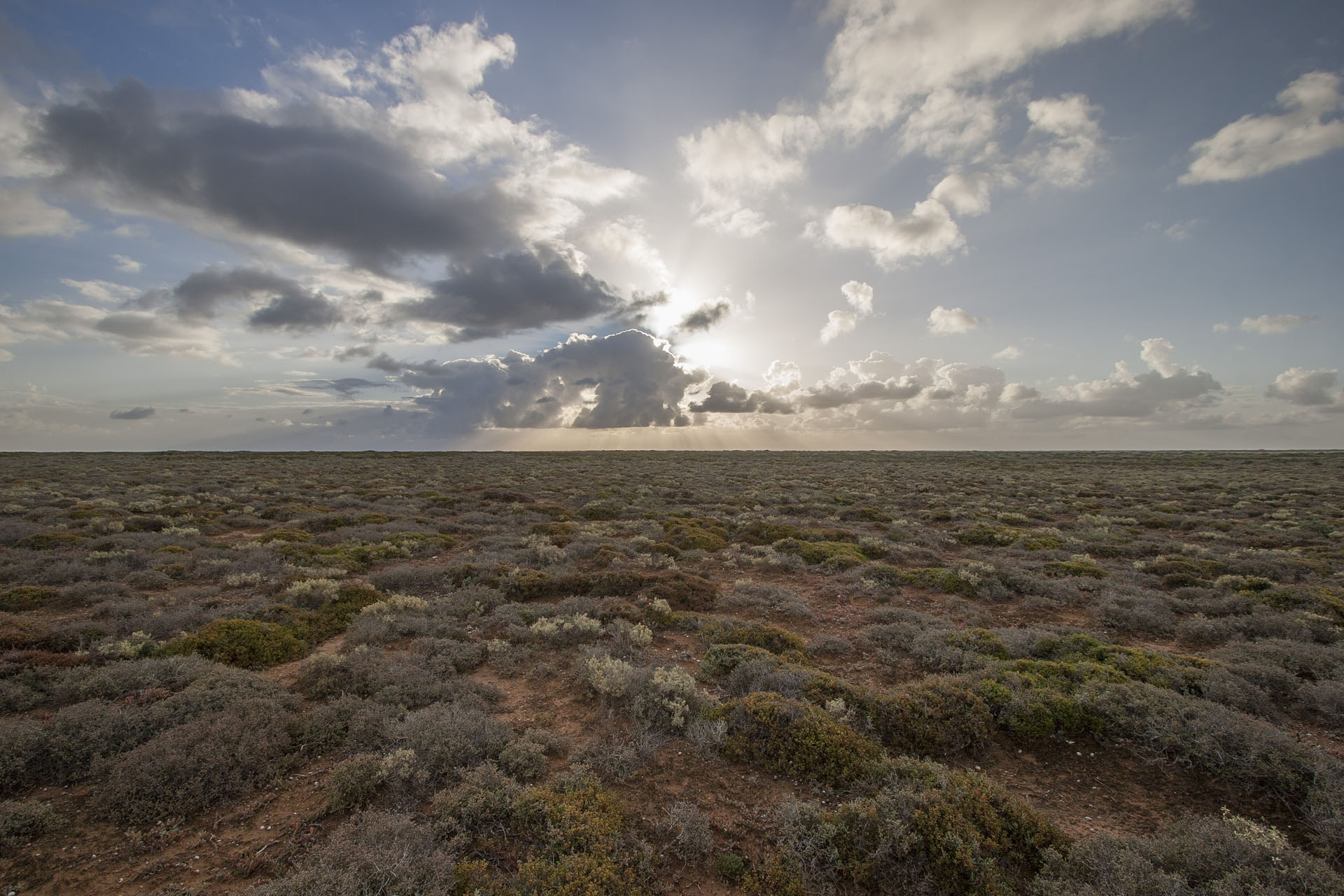 Sunset over Nullarbor.