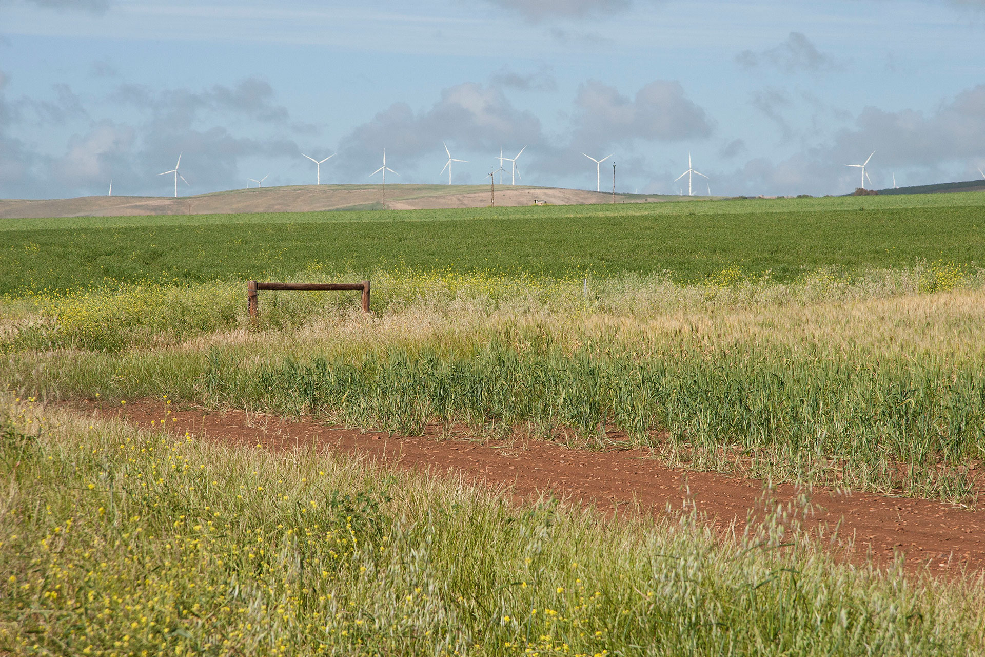 Lochiel's wind farms.