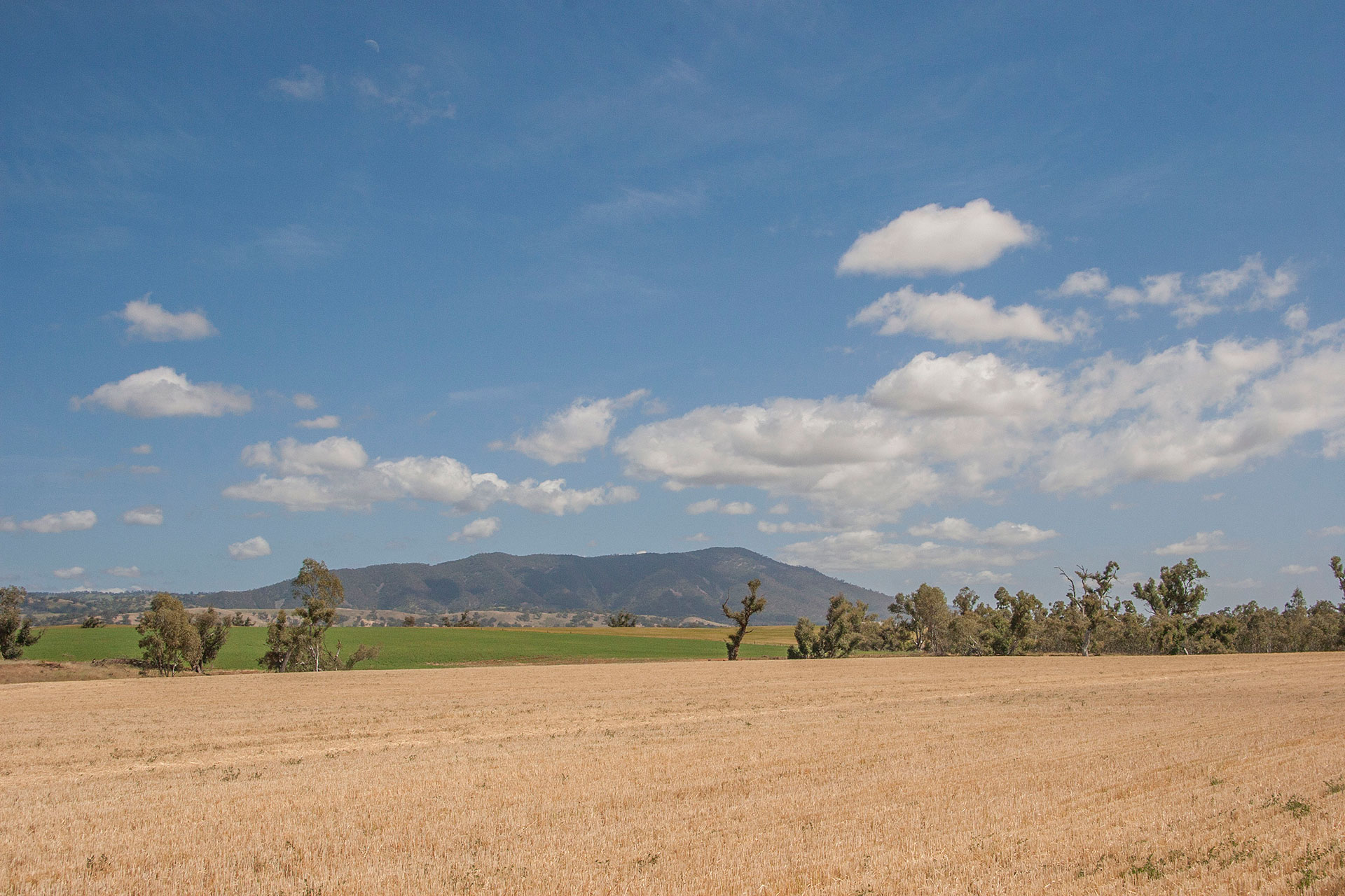 Mount Remarkable.