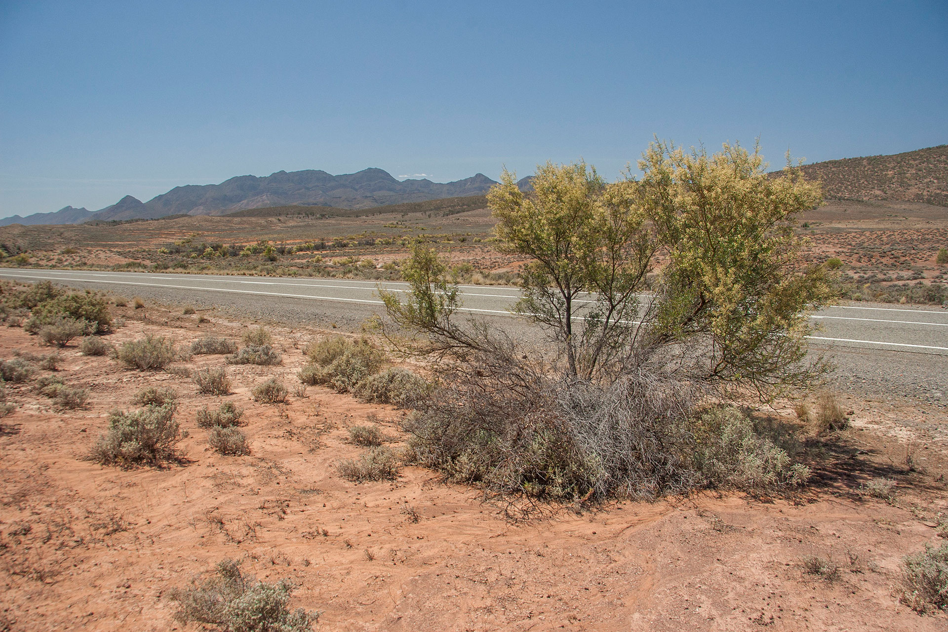 Empty highway.