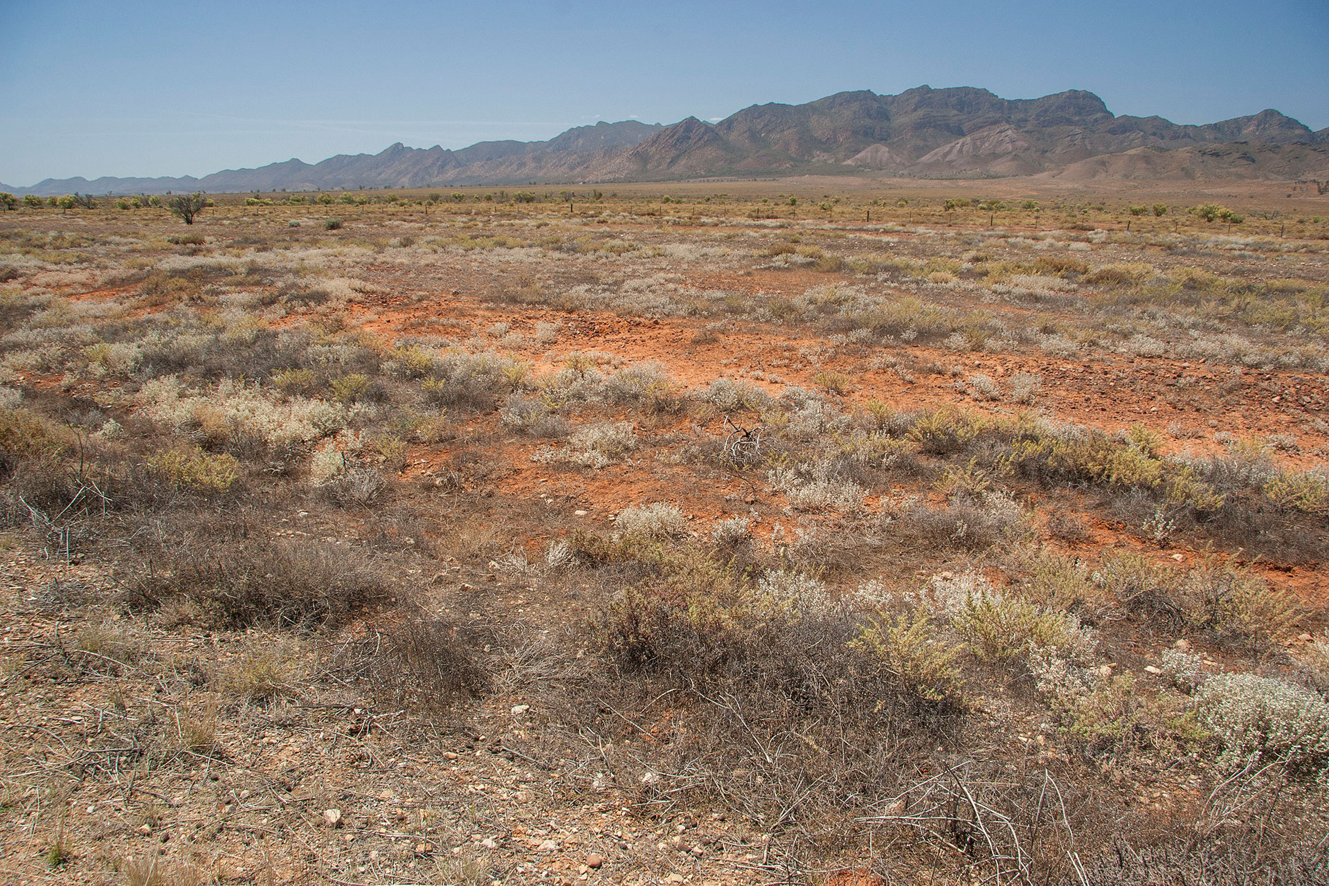 The surrounding plains.