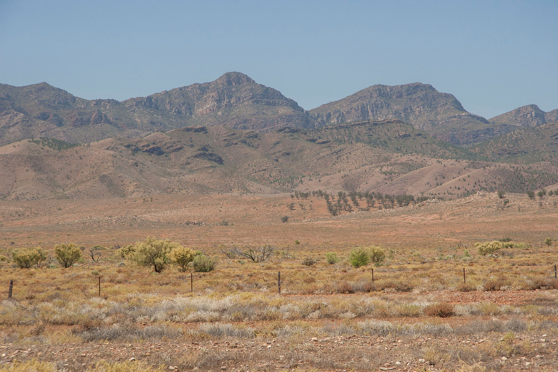 Flinders Ranges up close.