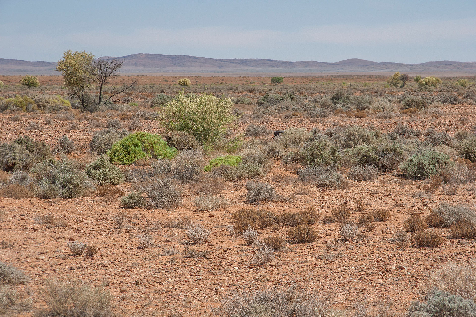 Flinders Ranges end here.