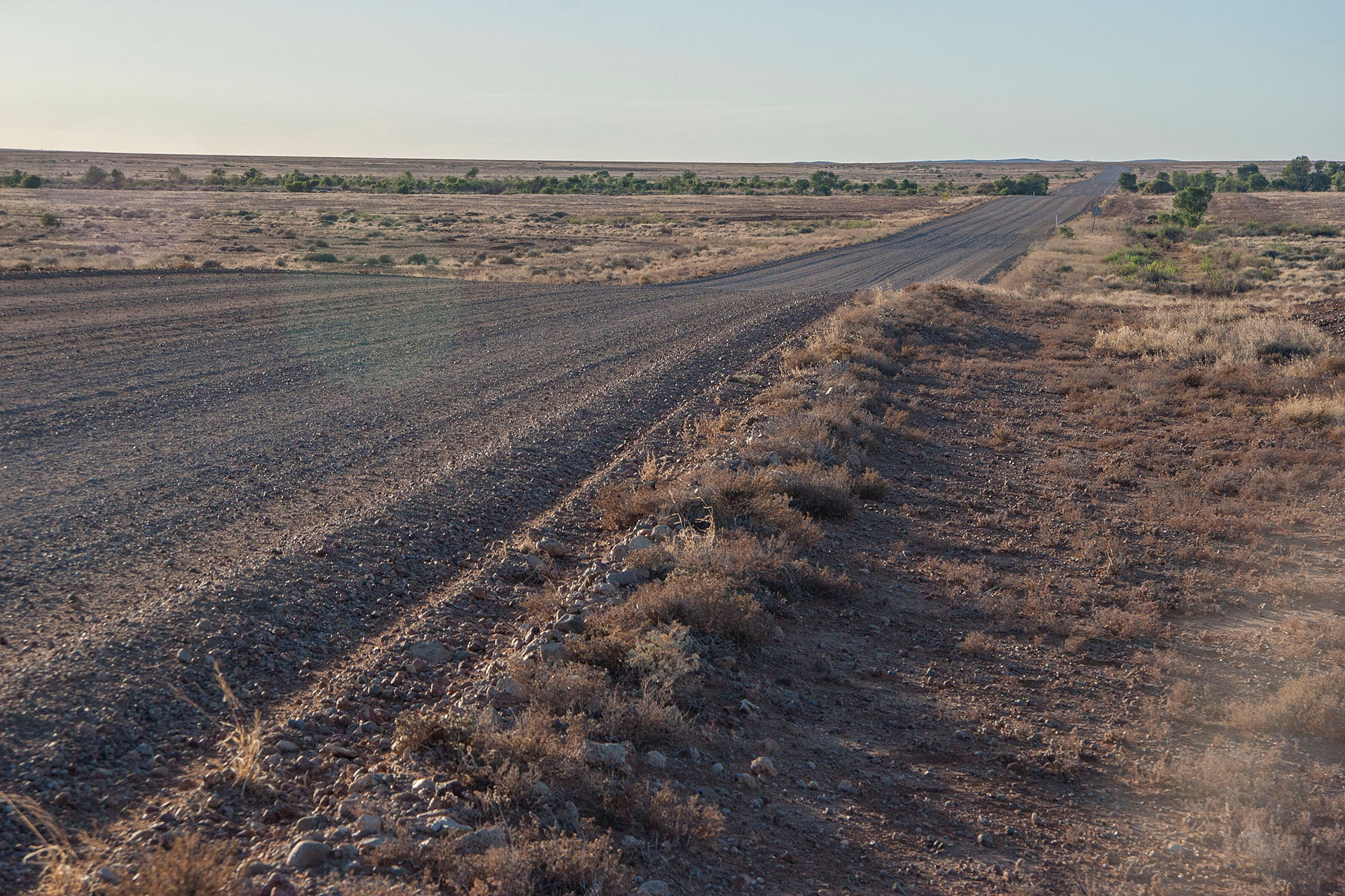 Strzelecki Track.