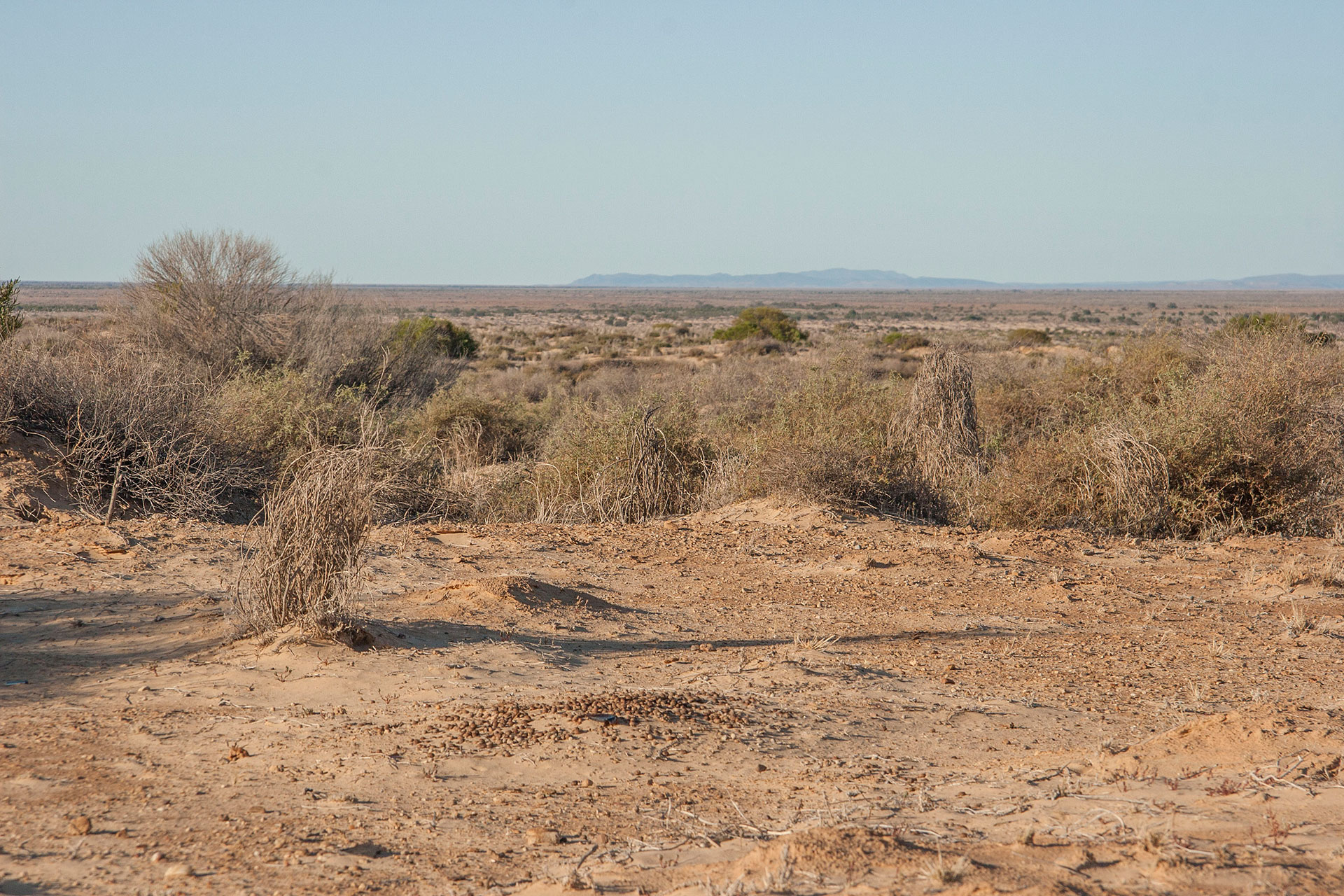 The last glimpse of Gammon Ranges.