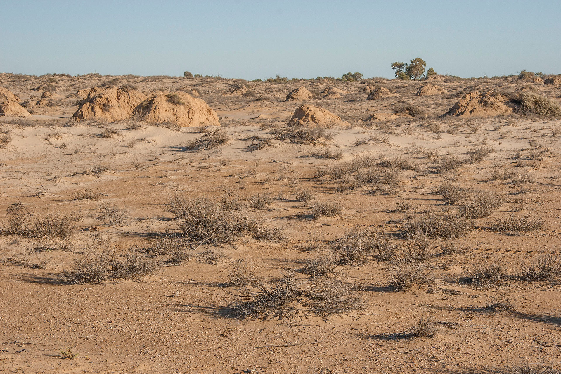 Strzelecki Desert.