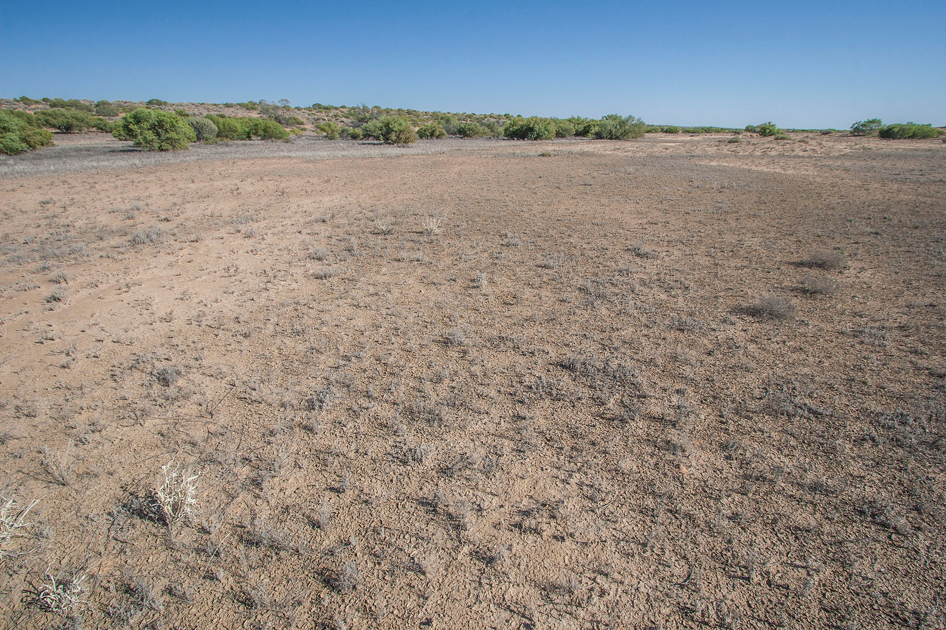 A swale and a dune in the distance.