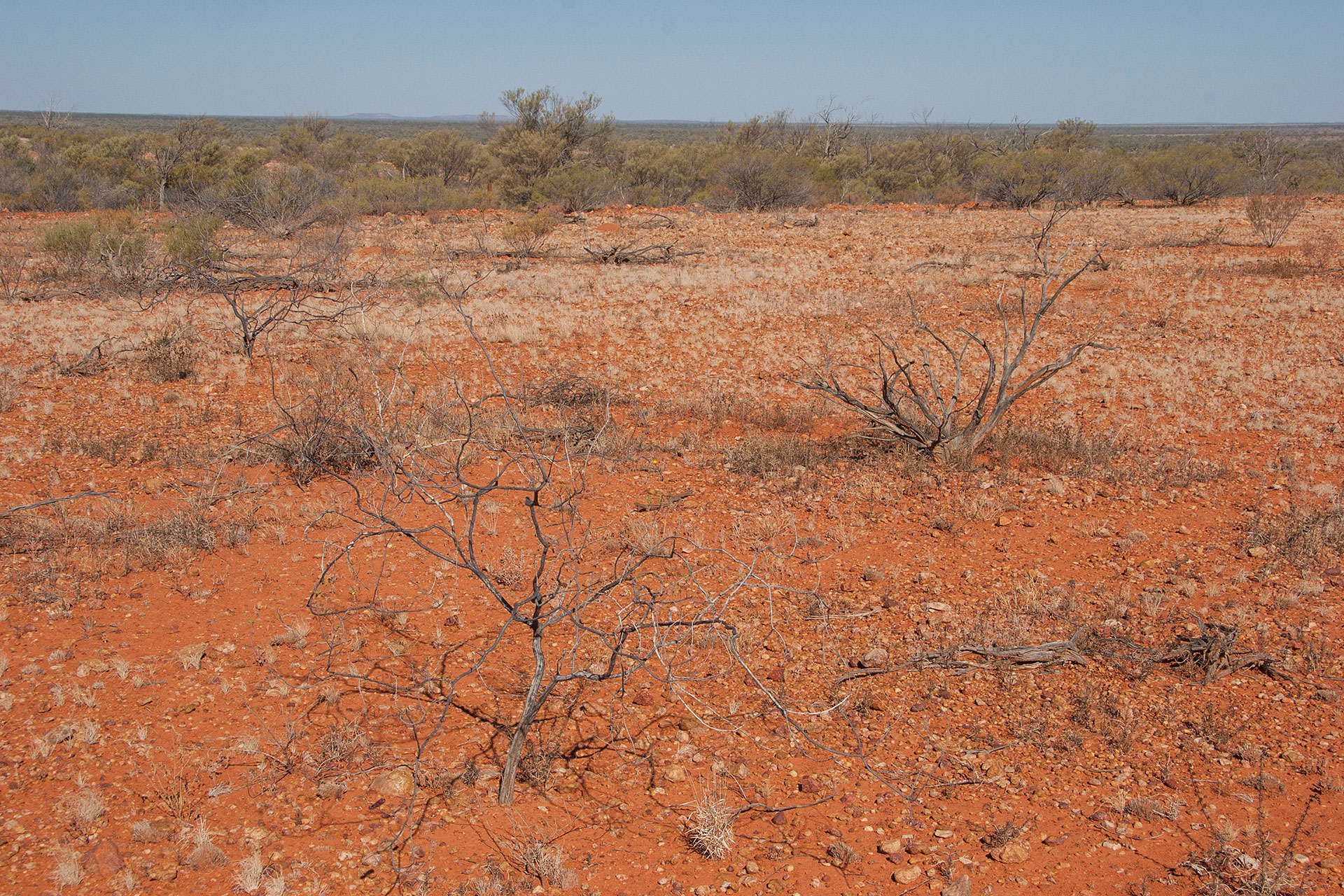 South-west Queensland as is.