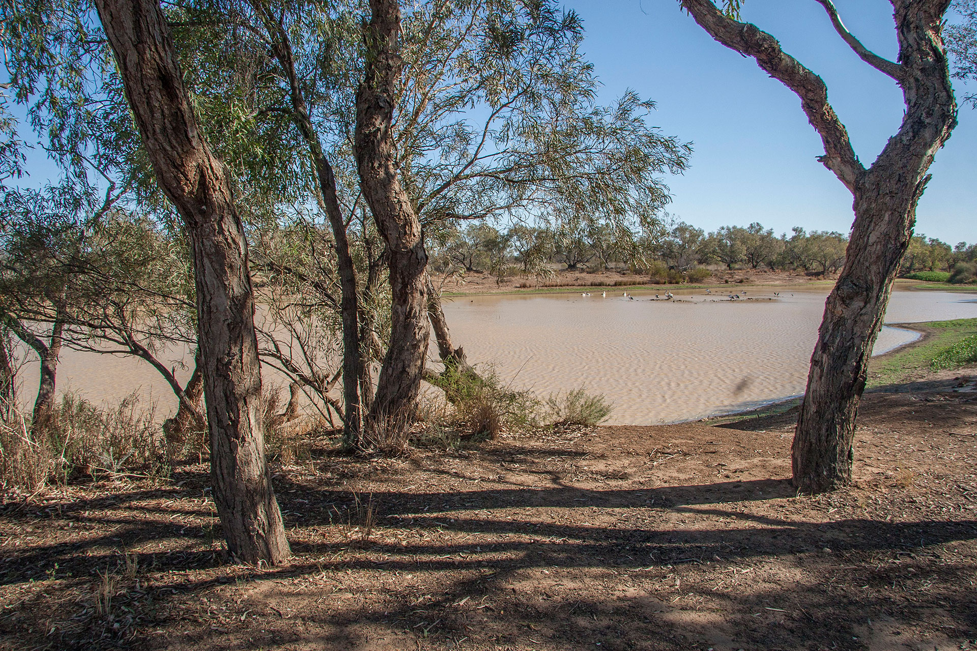 The river bank.