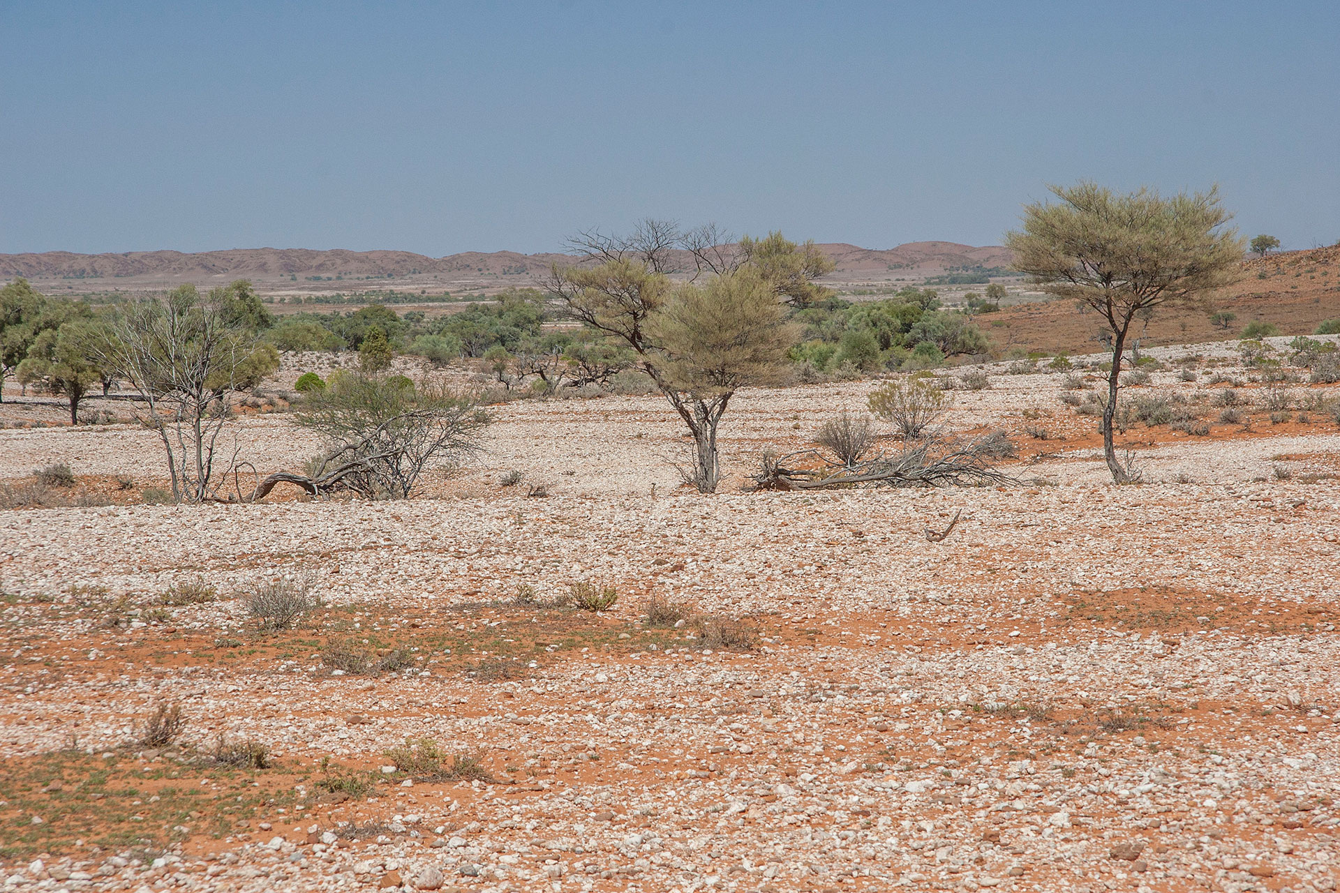 White stony plains.