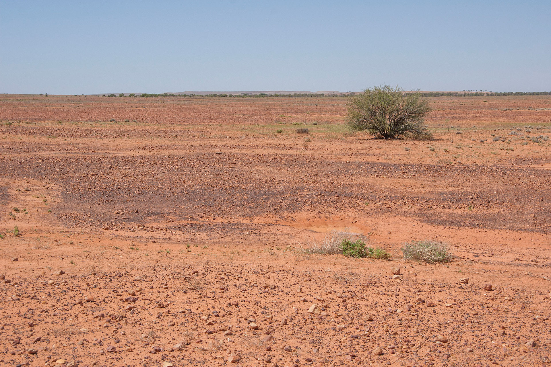 Red stony plains.