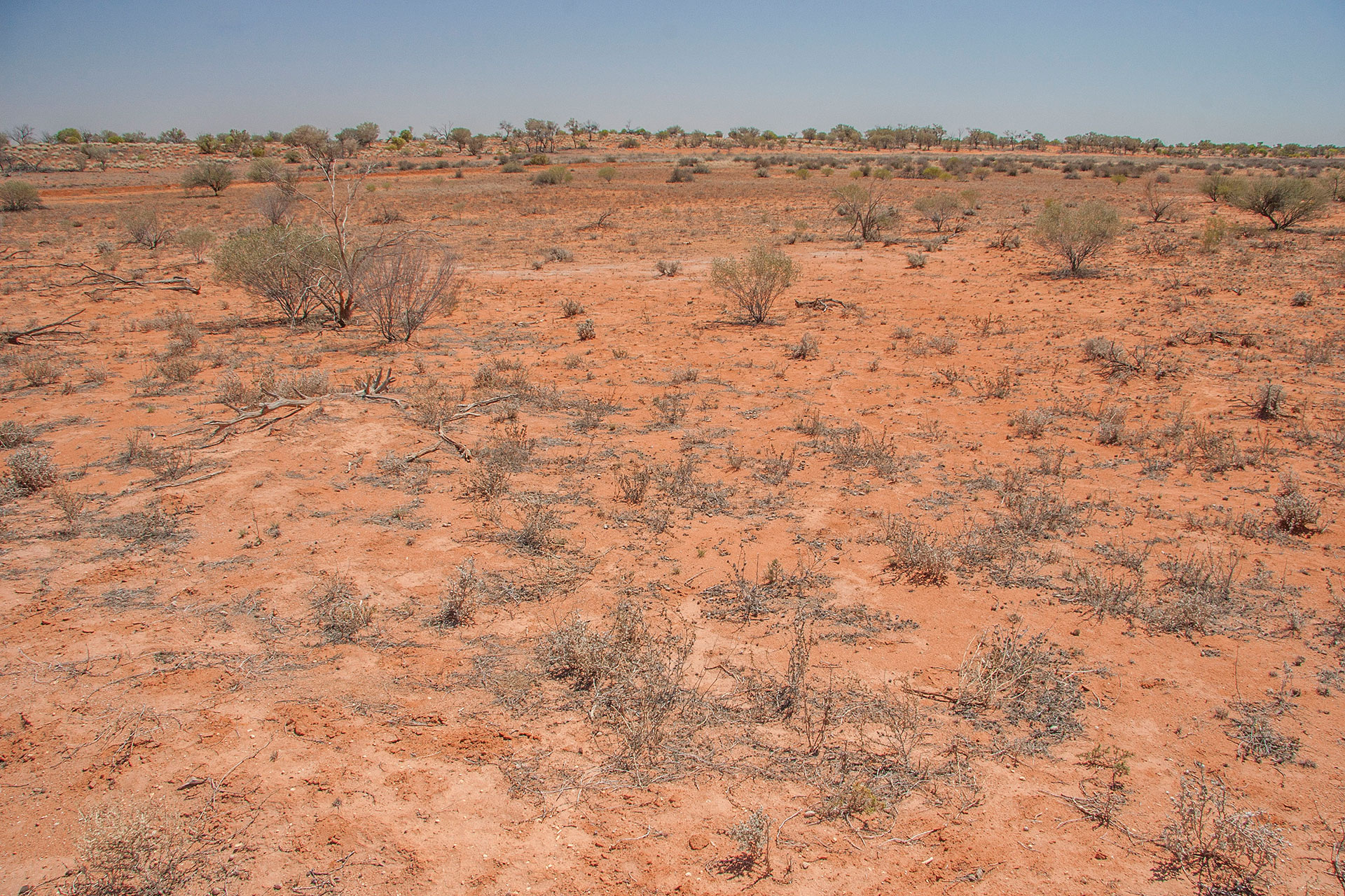 Red sandy country.