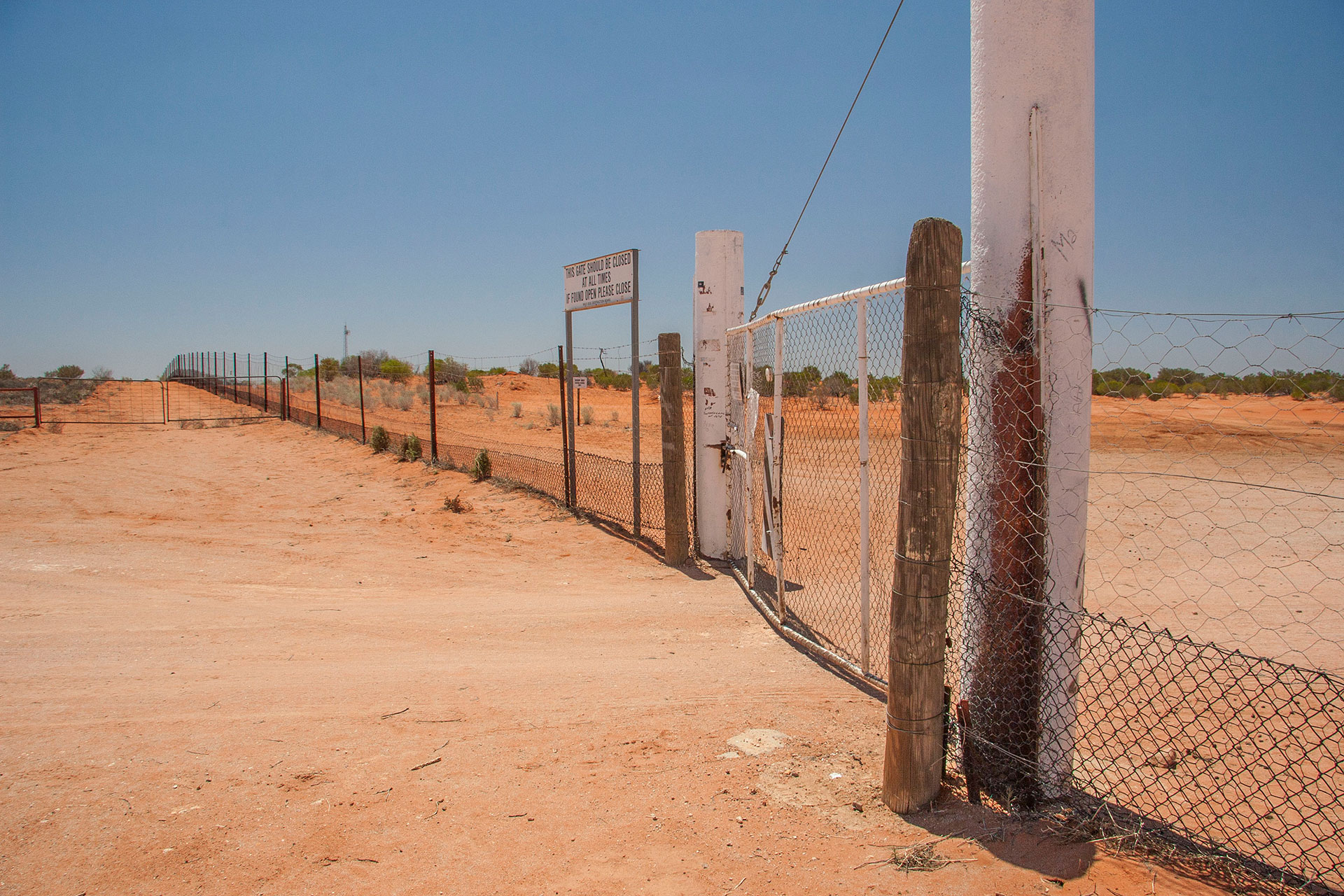 More of the Dog Fence.