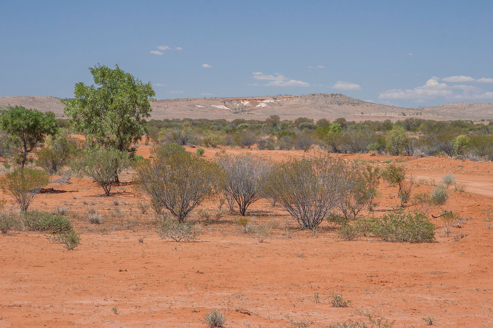 Red desert ends over there.