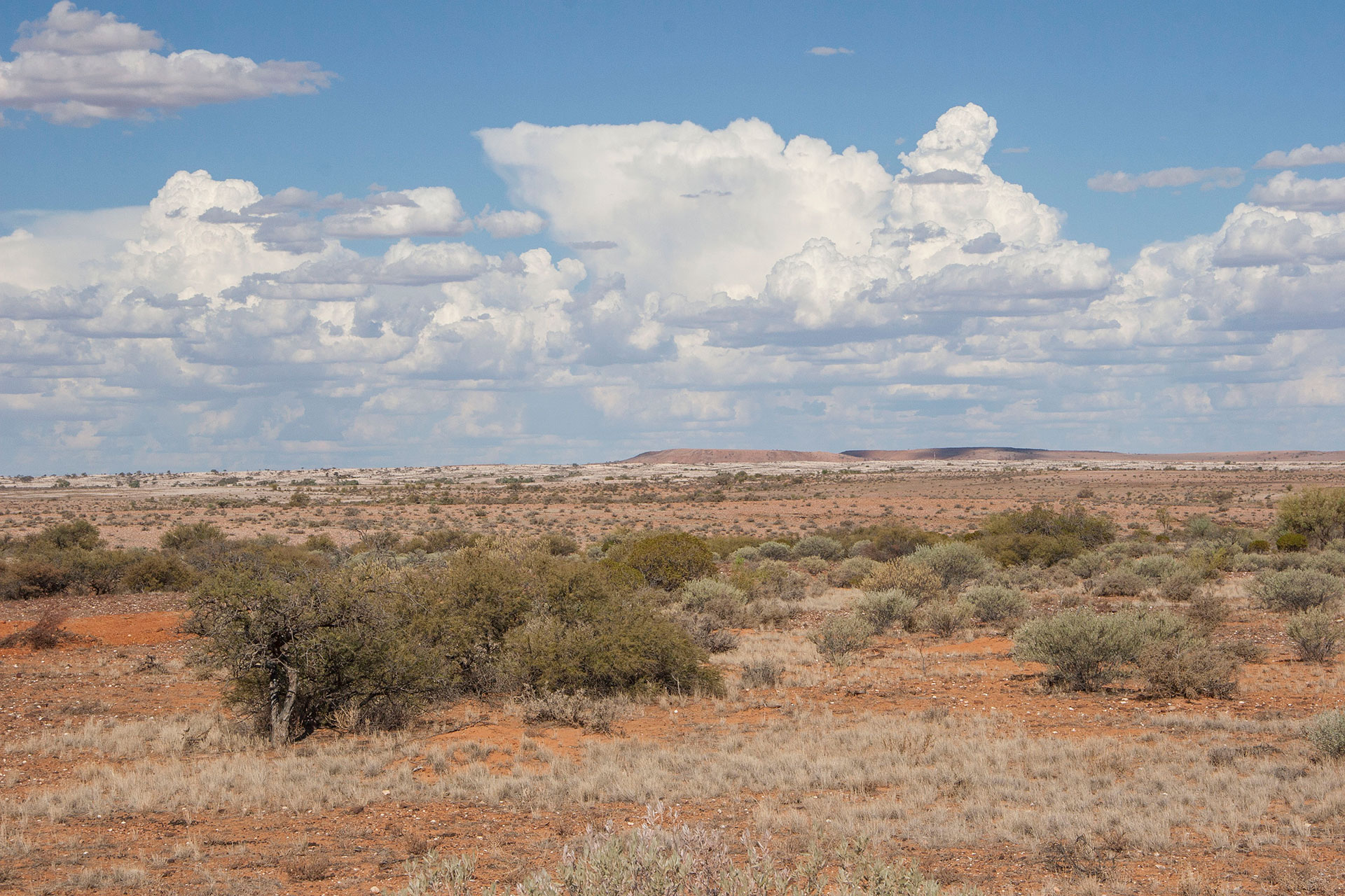 Along the Silver City Highway.