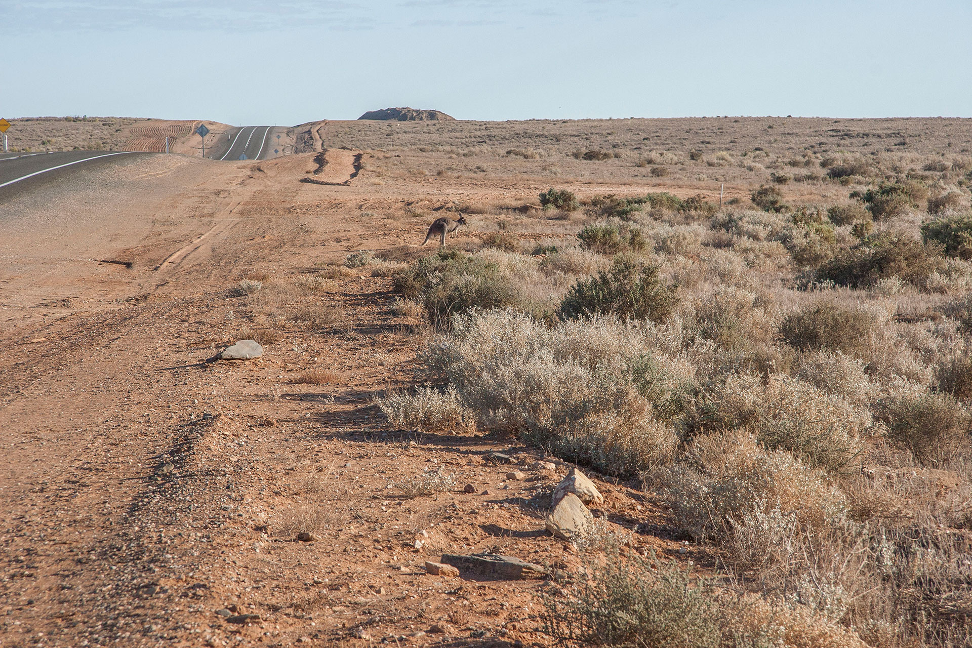 The land of the kangaroo.