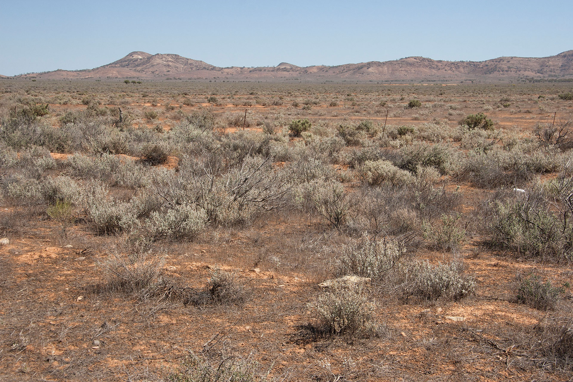 Flinders Ranges, take two?