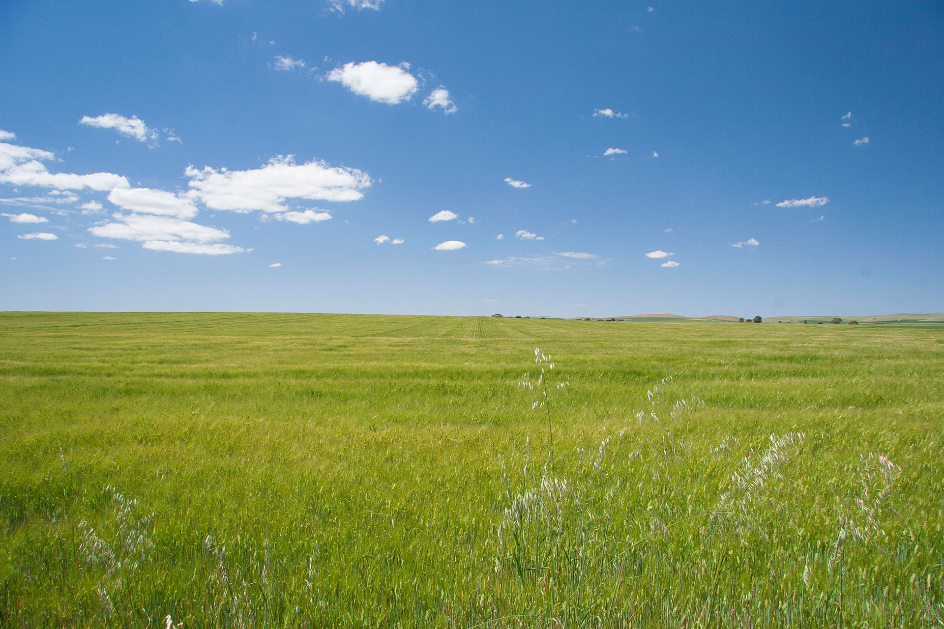 …and now it's probably too agricultural!