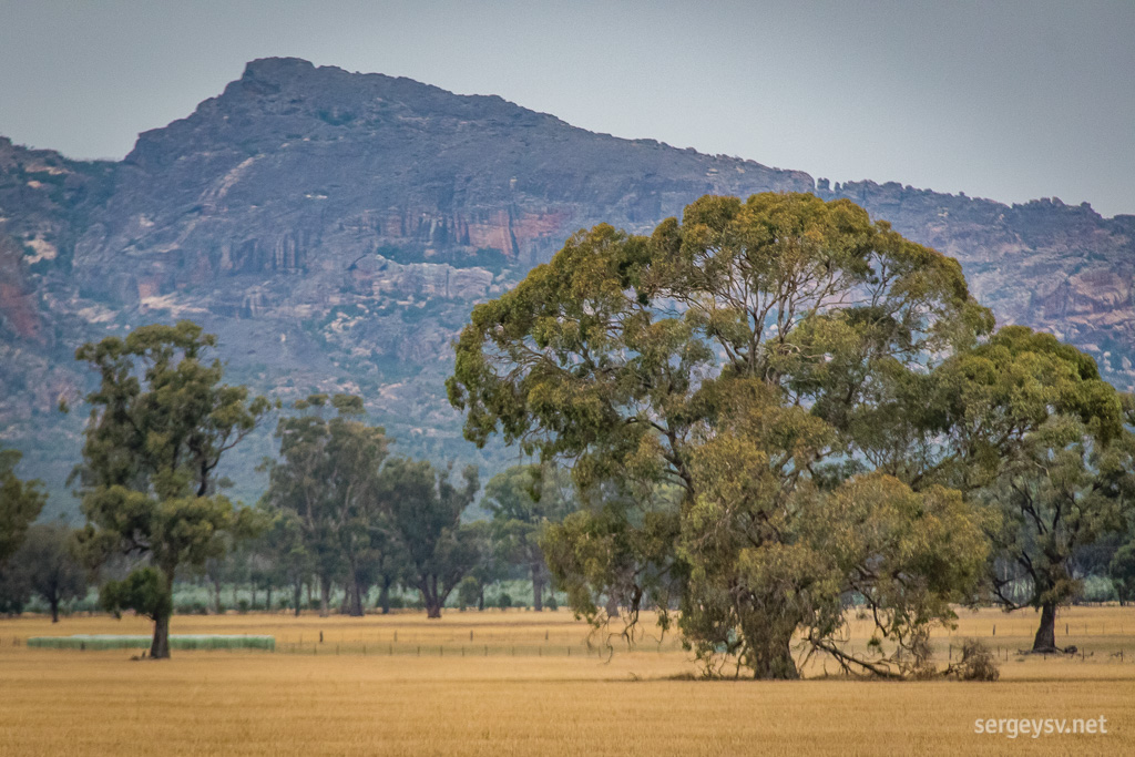 The Grampians (Mount Zero, I think).