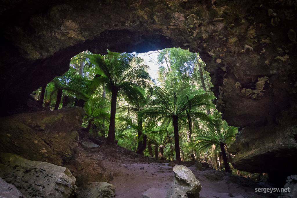 Looking back through the Arch to see where I came from.