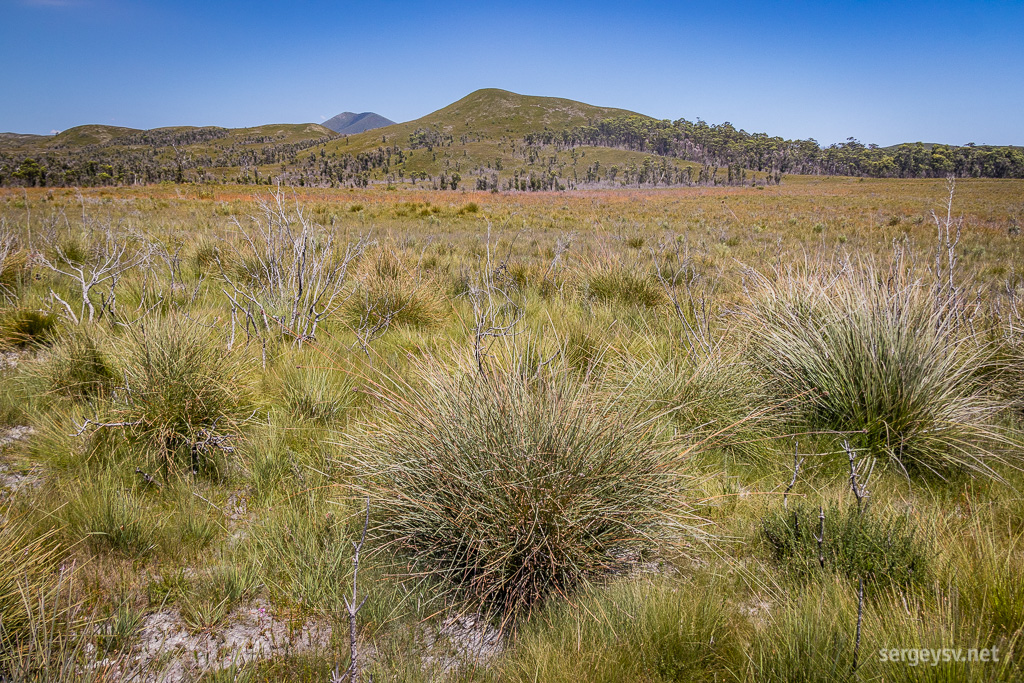 The surrounding scenery.