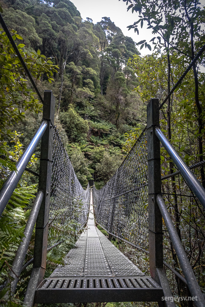 The bridge.