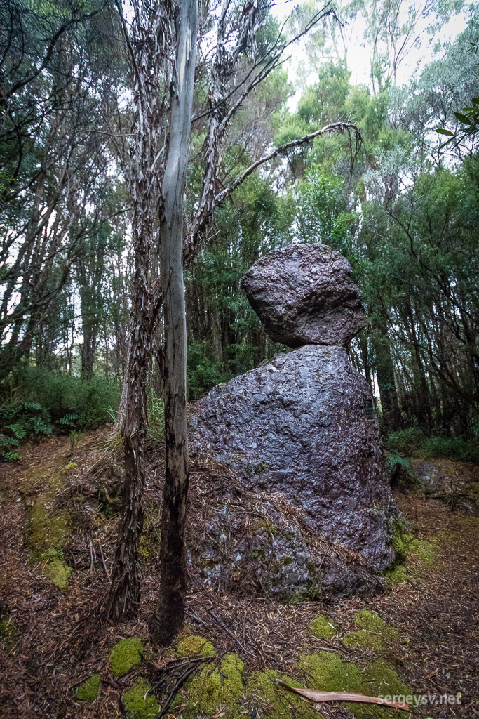 Remnants of the ice age at the Henty Glacial Moraines.