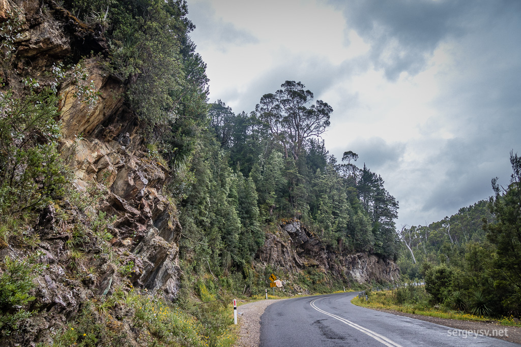 A typical Tasmanian road.