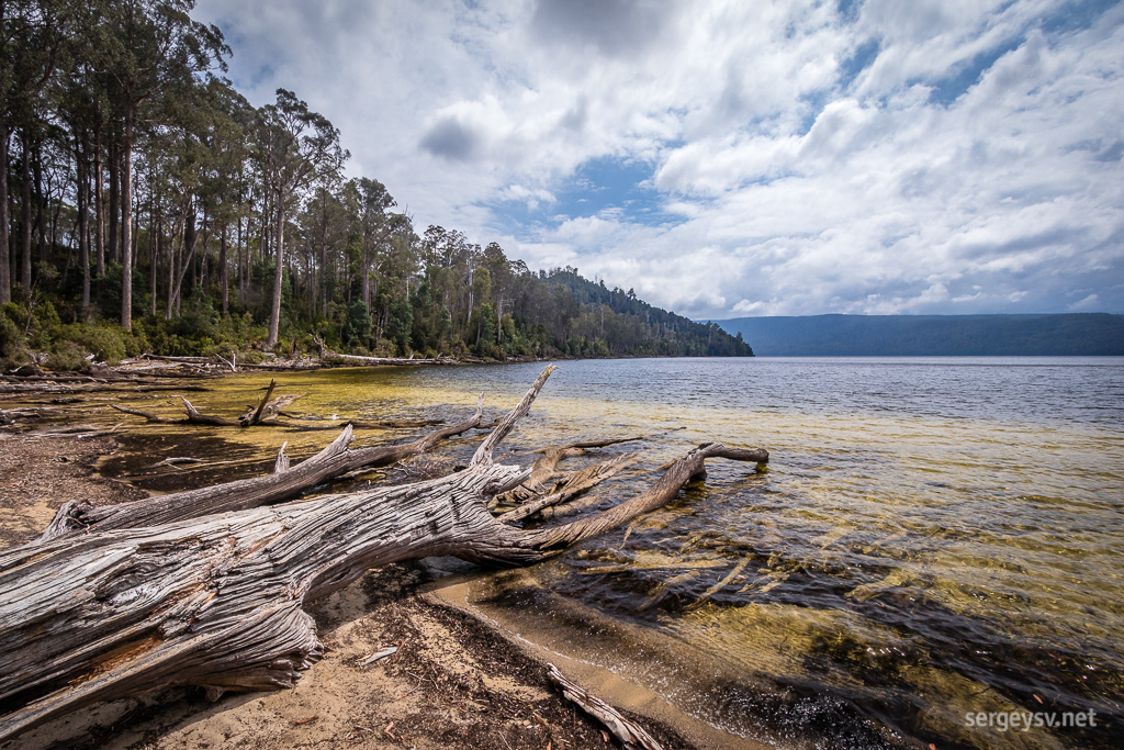 The lake itself (the Platypus Bay).