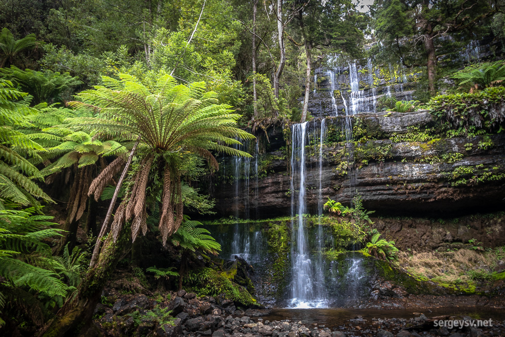 Russell Falls.