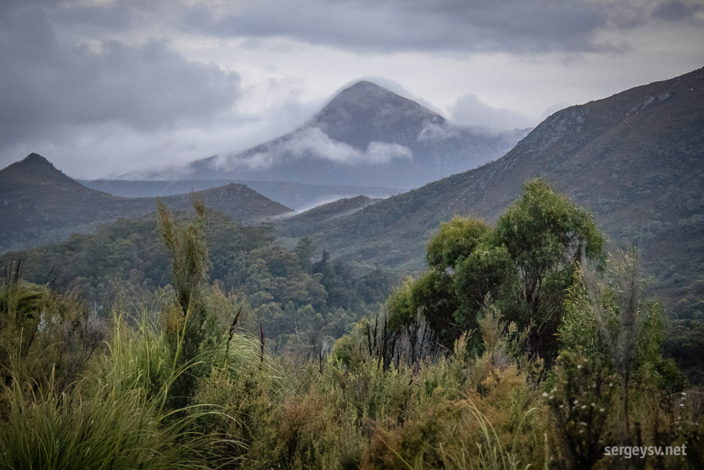 Tasmanian morning.