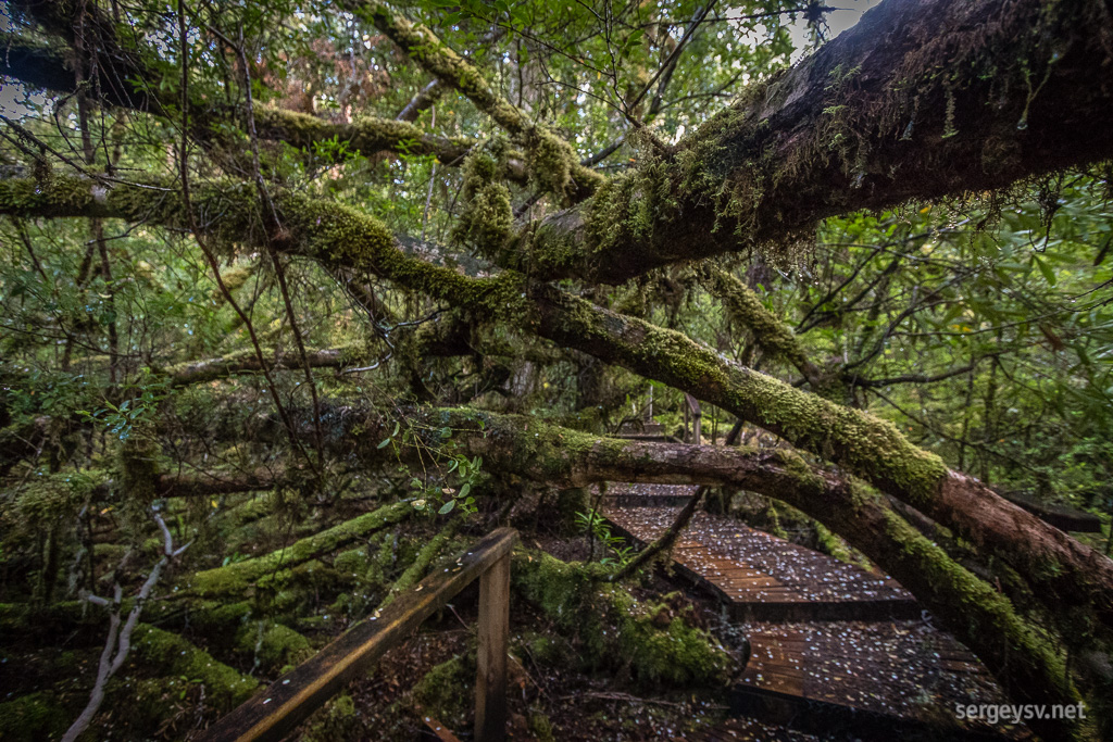 Creepy Crawly Nature Trail.