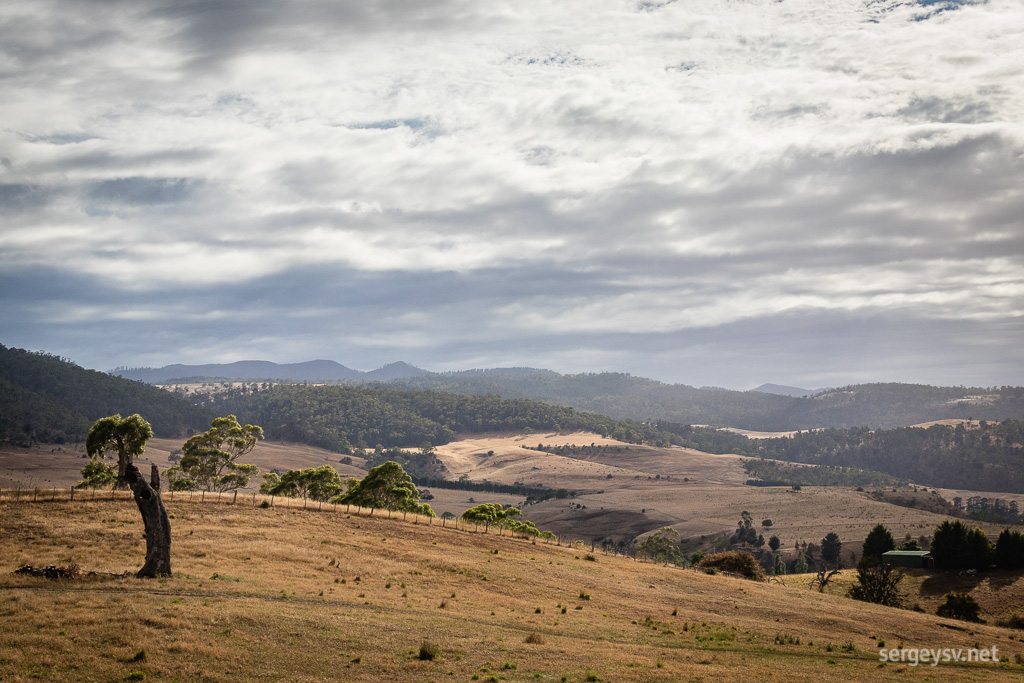 Farmlands in the morning.