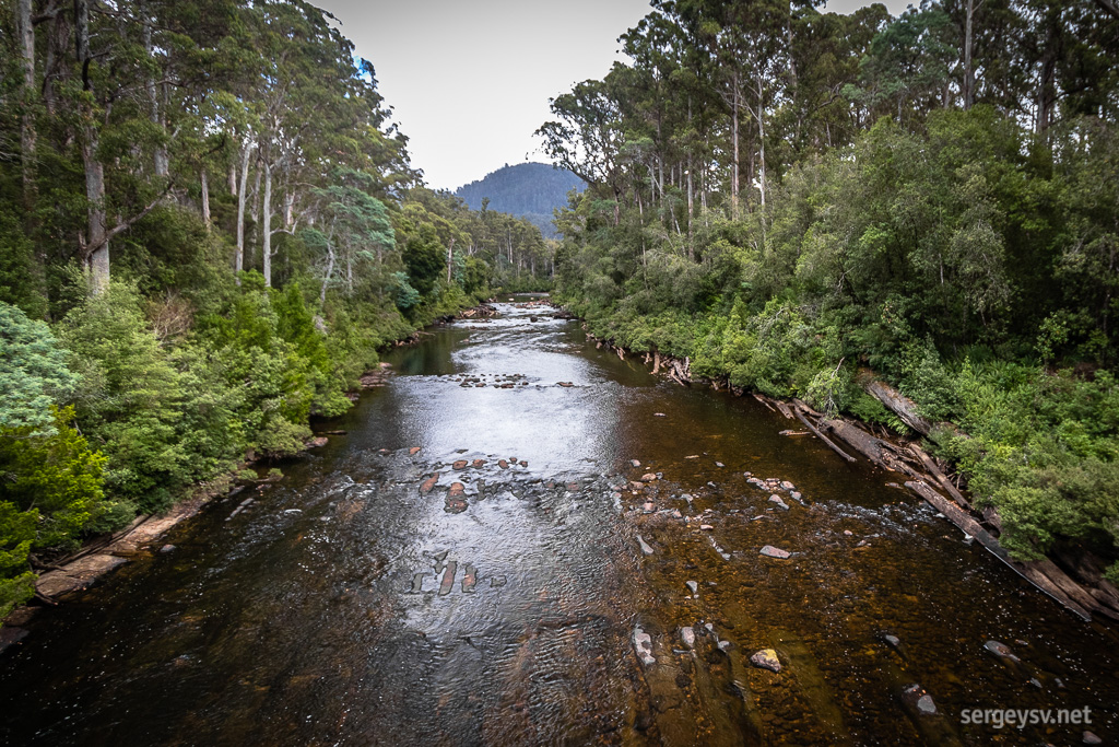 Picton River. Looks a bit like a flooded street alley, doesn’t it?