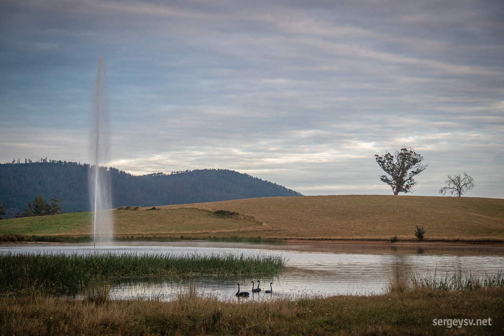 Mysterious fountain.