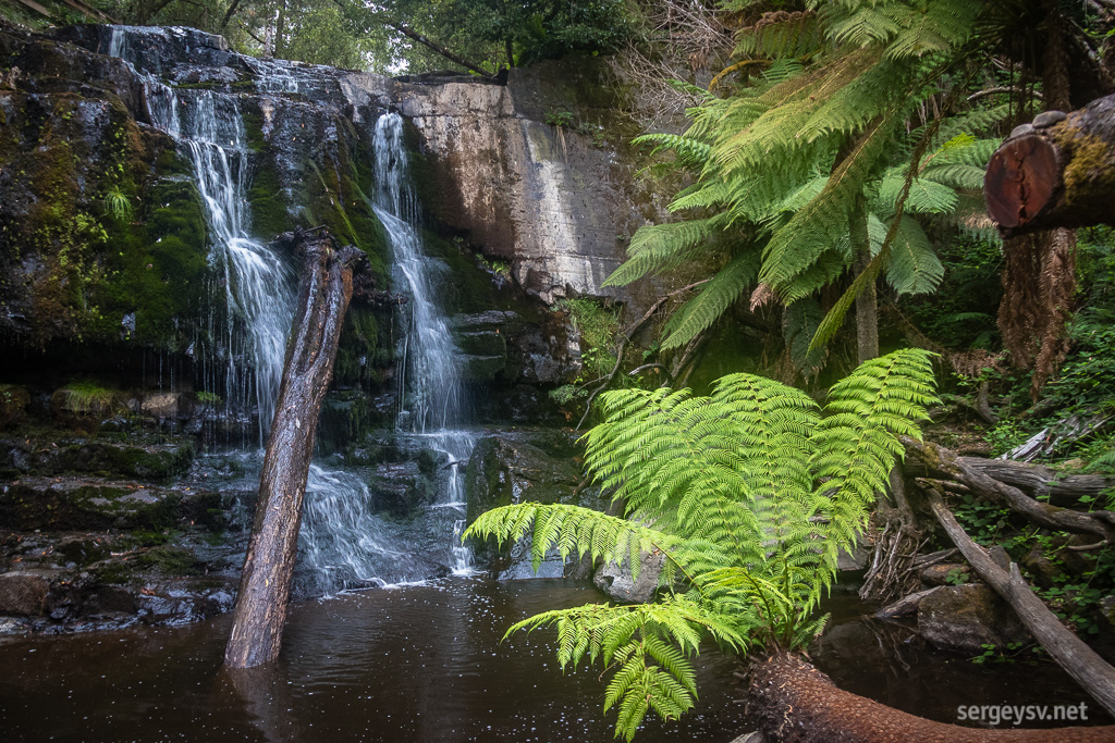 Lilydale Falls.